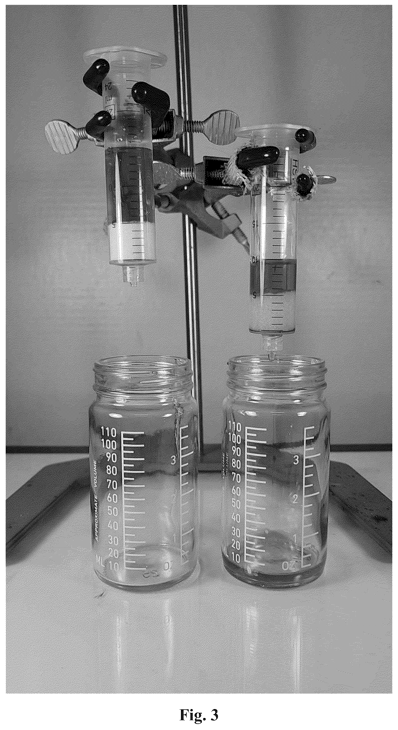 Patent US12612544 Figure 3 – Surfactant as relative permeability modifier for produced fluids from a subterranean formation