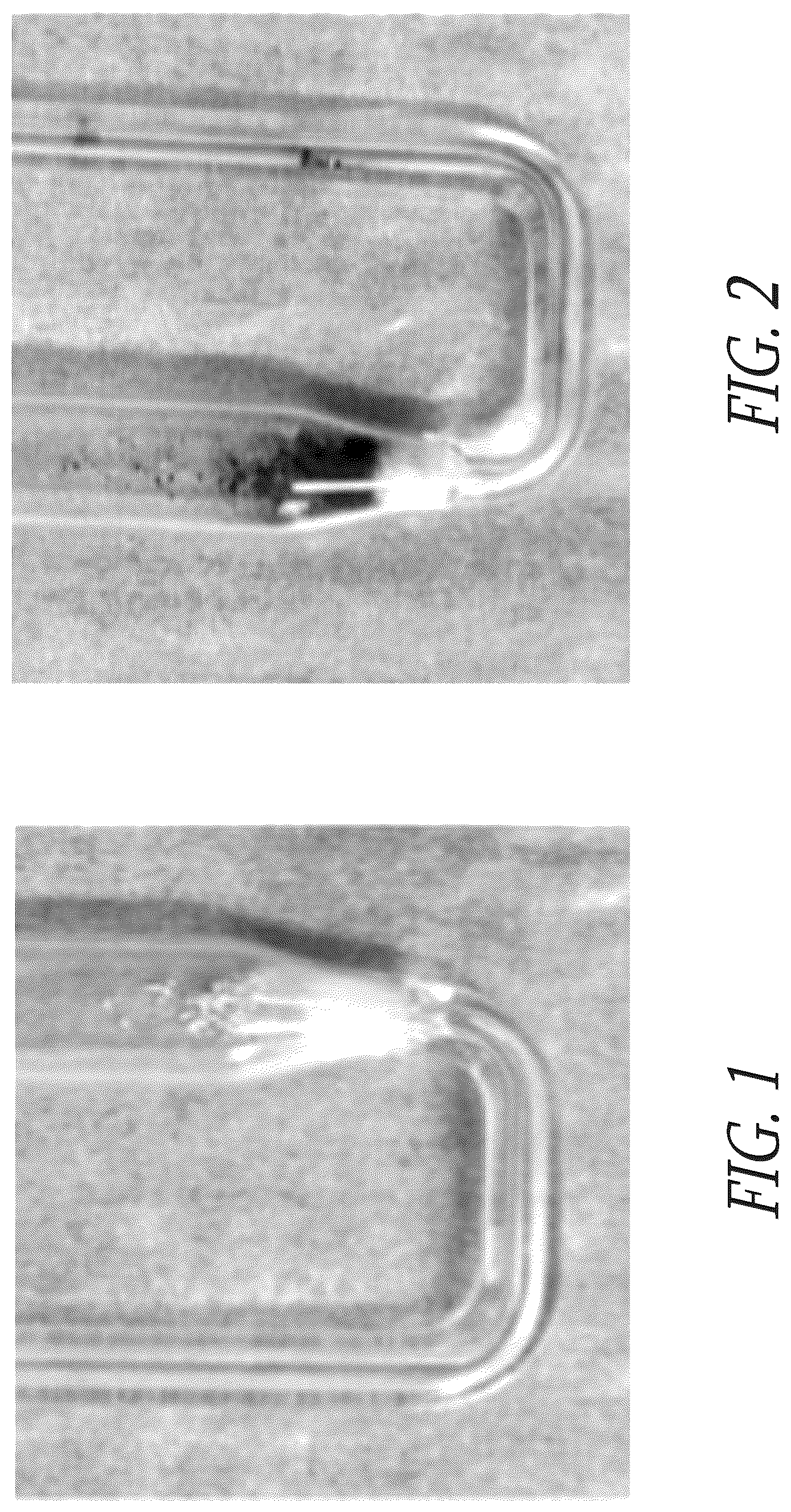 Patent US12612571 Figure 1 – Diesel fuel and fuel additive with a combustion catalyst