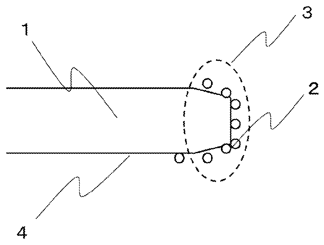 Patent US12612580 Figure 1 – Treatment liquid for semiconductor wafers, which contains hypochlorite ions