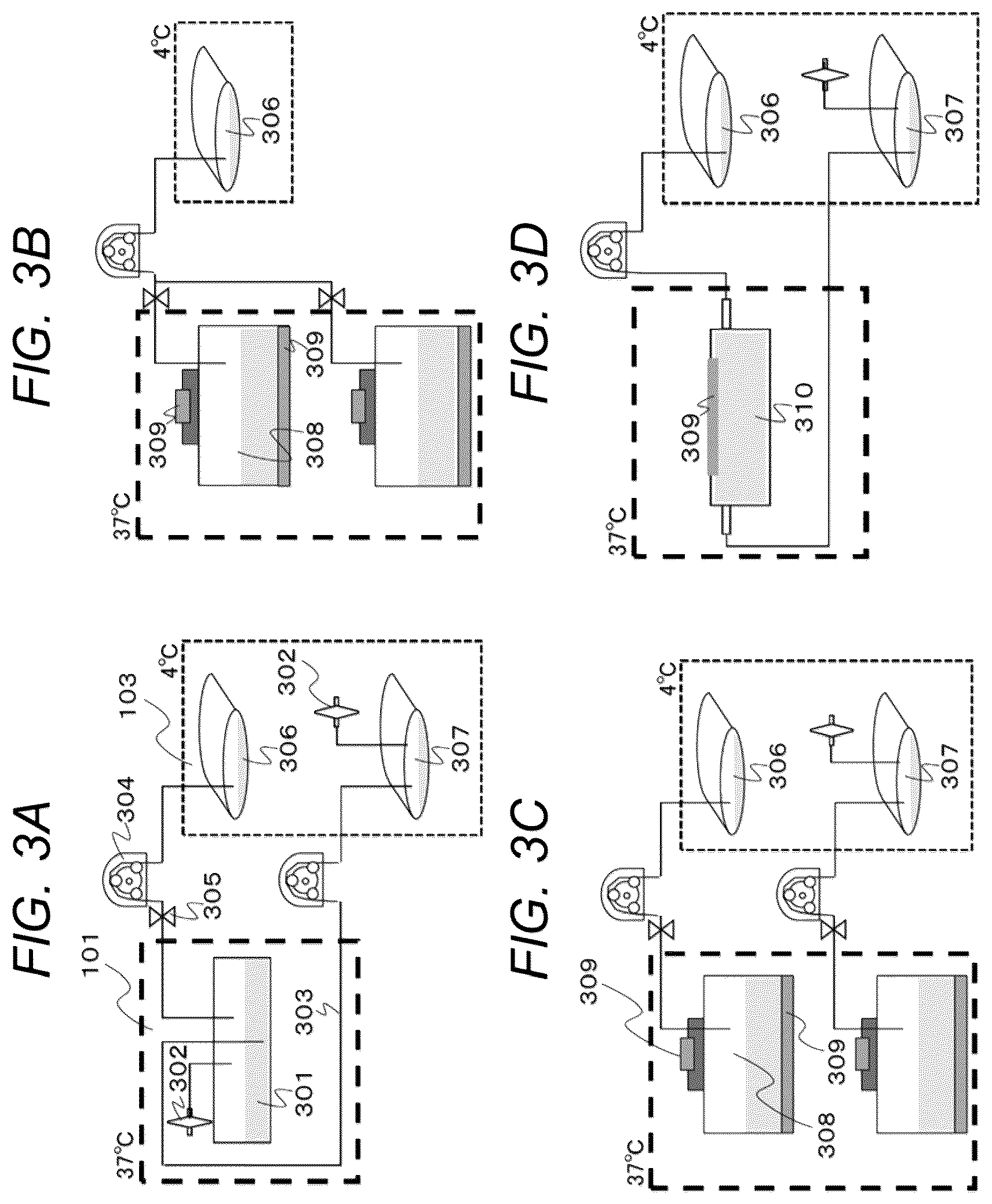 Patent US12612582 Figure 3 – Cell culture system
