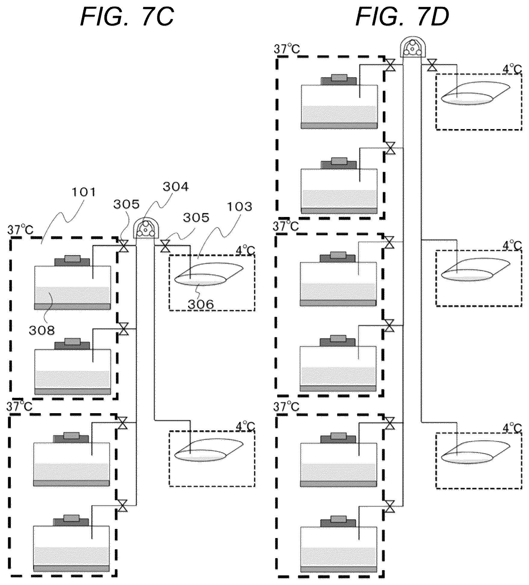 Patent US12612582 Figure 8 – Cell culture system