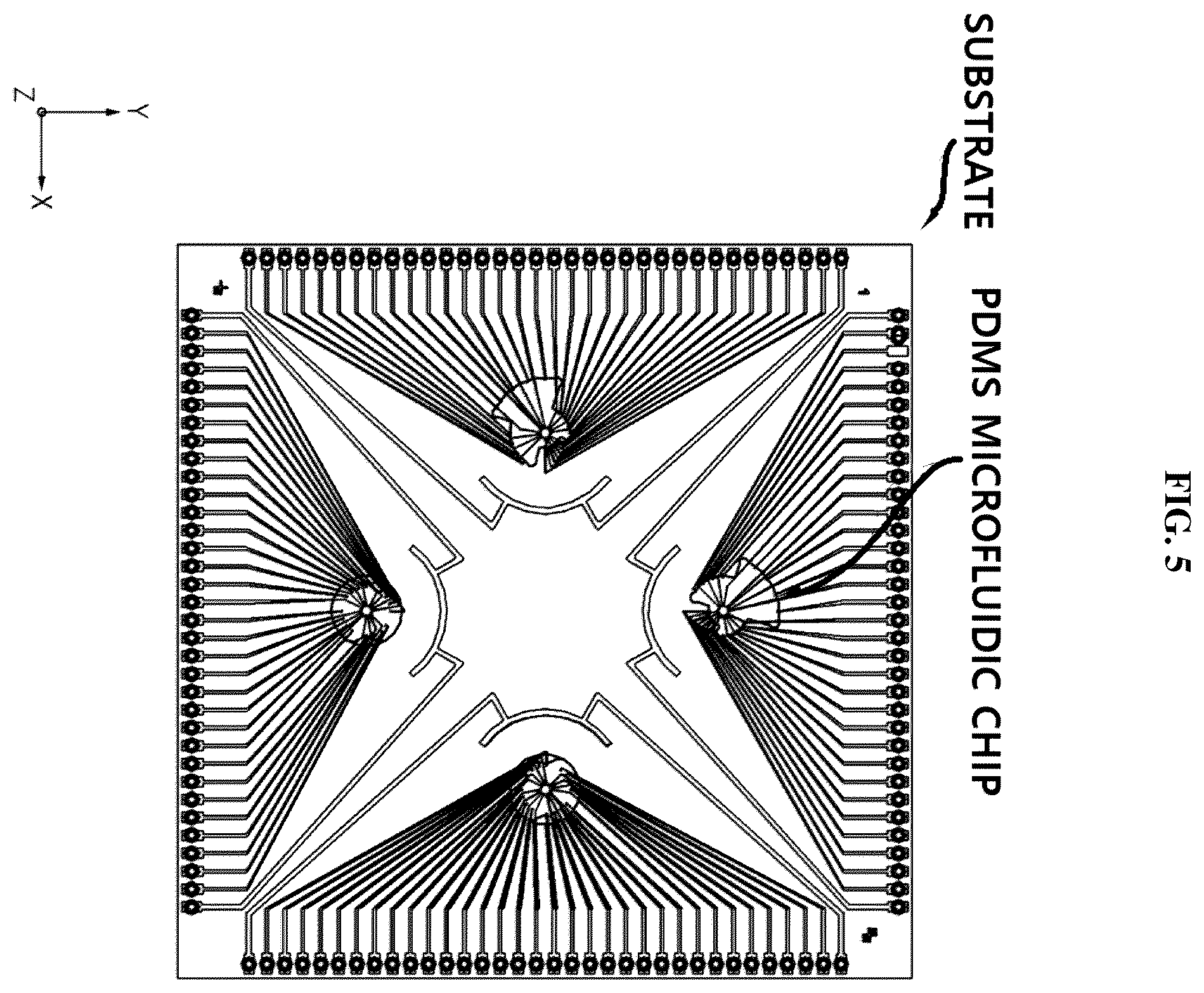 Patent US12612584 Figure 5 – Electroceutical screening device and screening method using same