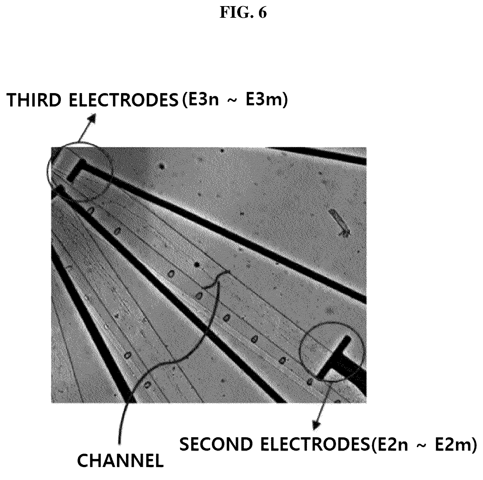 Patent US12612584 Figure 6 – Electroceutical screening device and screening method using same