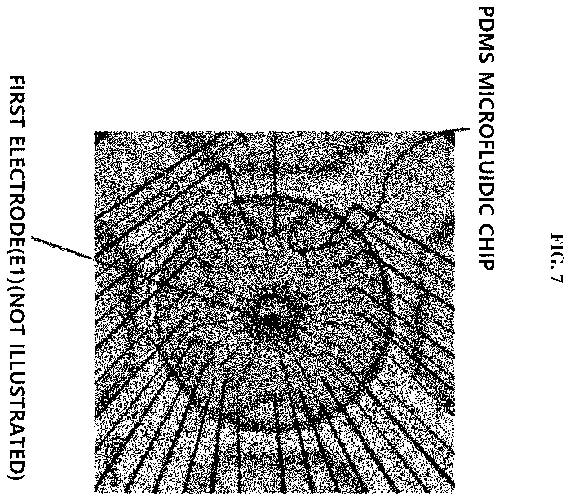 Patent US12612584 Figure 7 – Electroceutical screening device and screening method using same