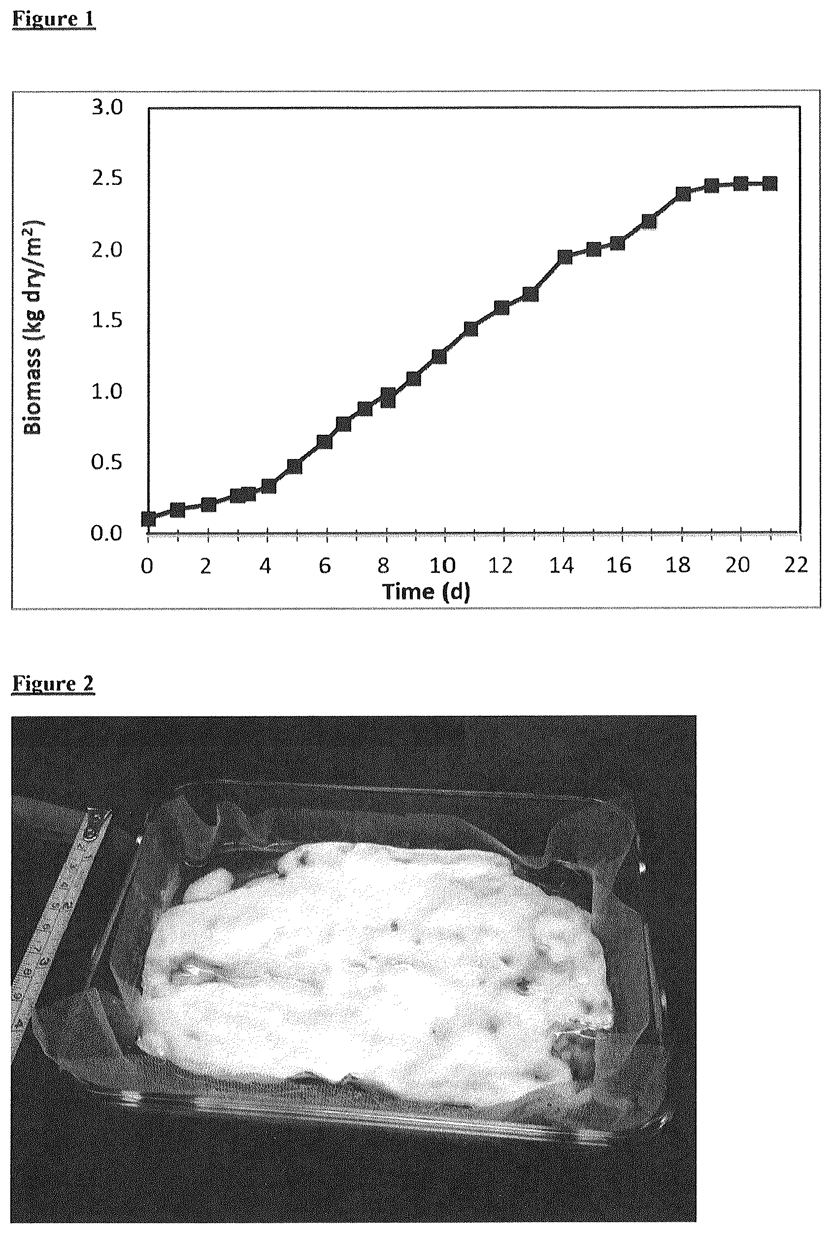 Patent US12612593 Figure 1 – Food materials comprising filamentous fungal particles and membrane bioreactor design