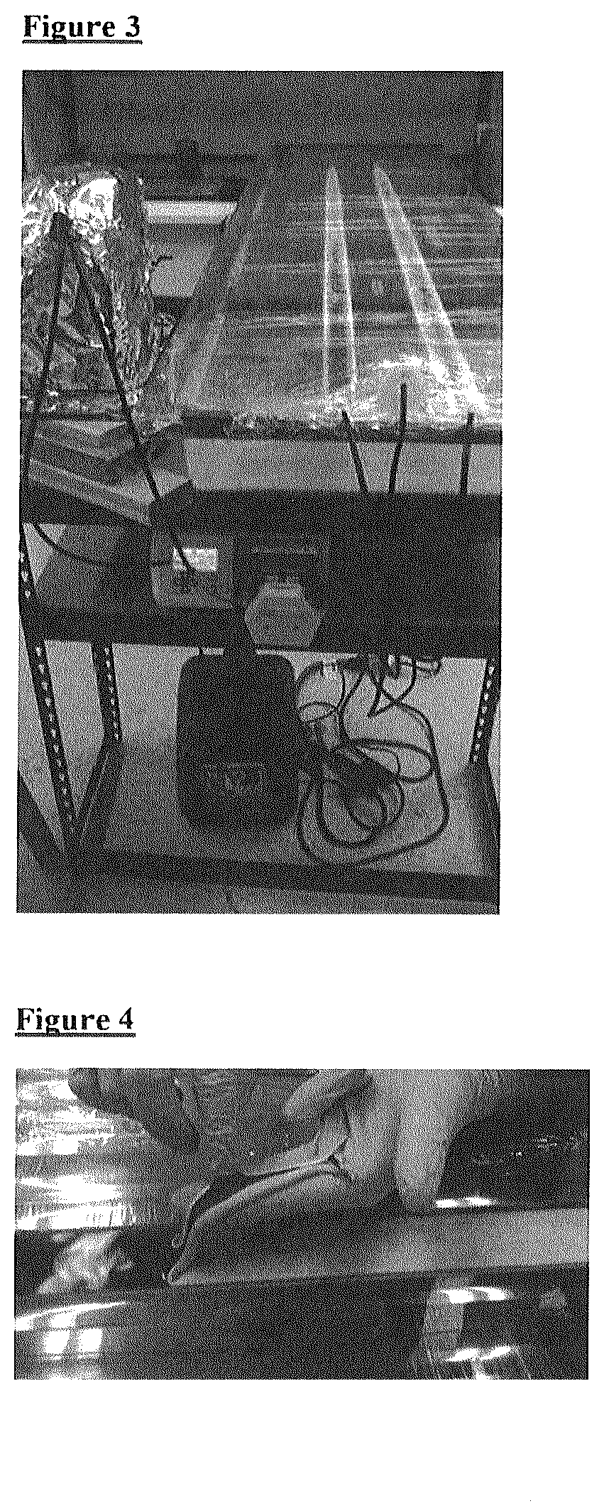 Patent US12612593 Figure 2 – Food materials comprising filamentous fungal particles and membrane bioreactor design