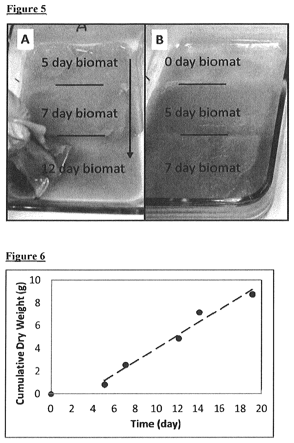 Patent US12612593 Figure 3 – Food materials comprising filamentous fungal particles and membrane bioreactor design