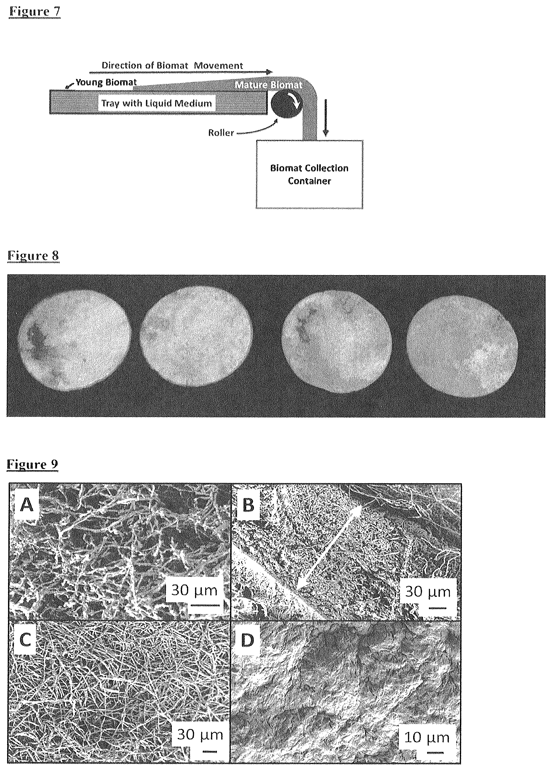 Patent US12612593 Figure 4 – Food materials comprising filamentous fungal particles and membrane bioreactor design