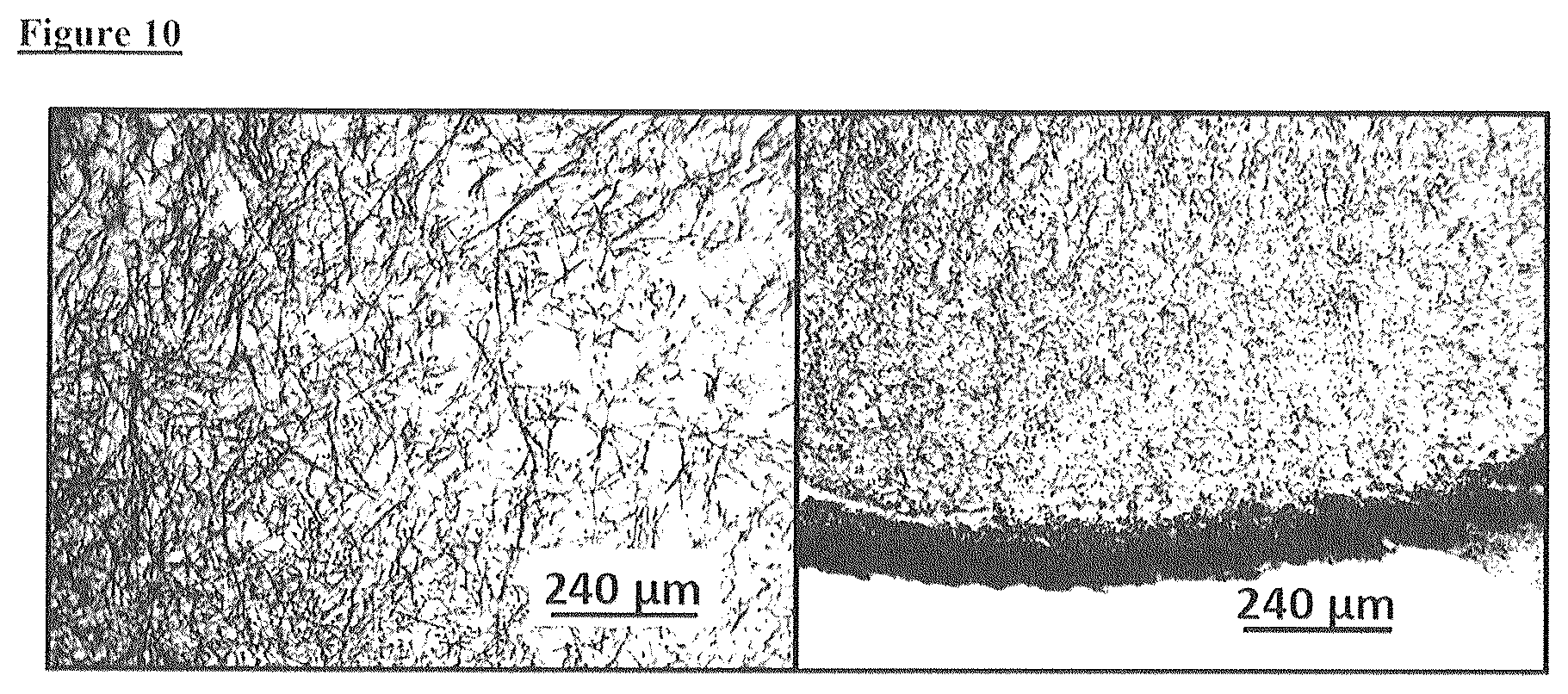 Patent US12612593 Figure 5 – Food materials comprising filamentous fungal particles and membrane bioreactor design