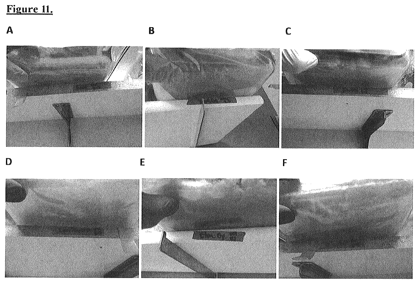 Patent US12612593 Figure 6 – Food materials comprising filamentous fungal particles and membrane bioreactor design