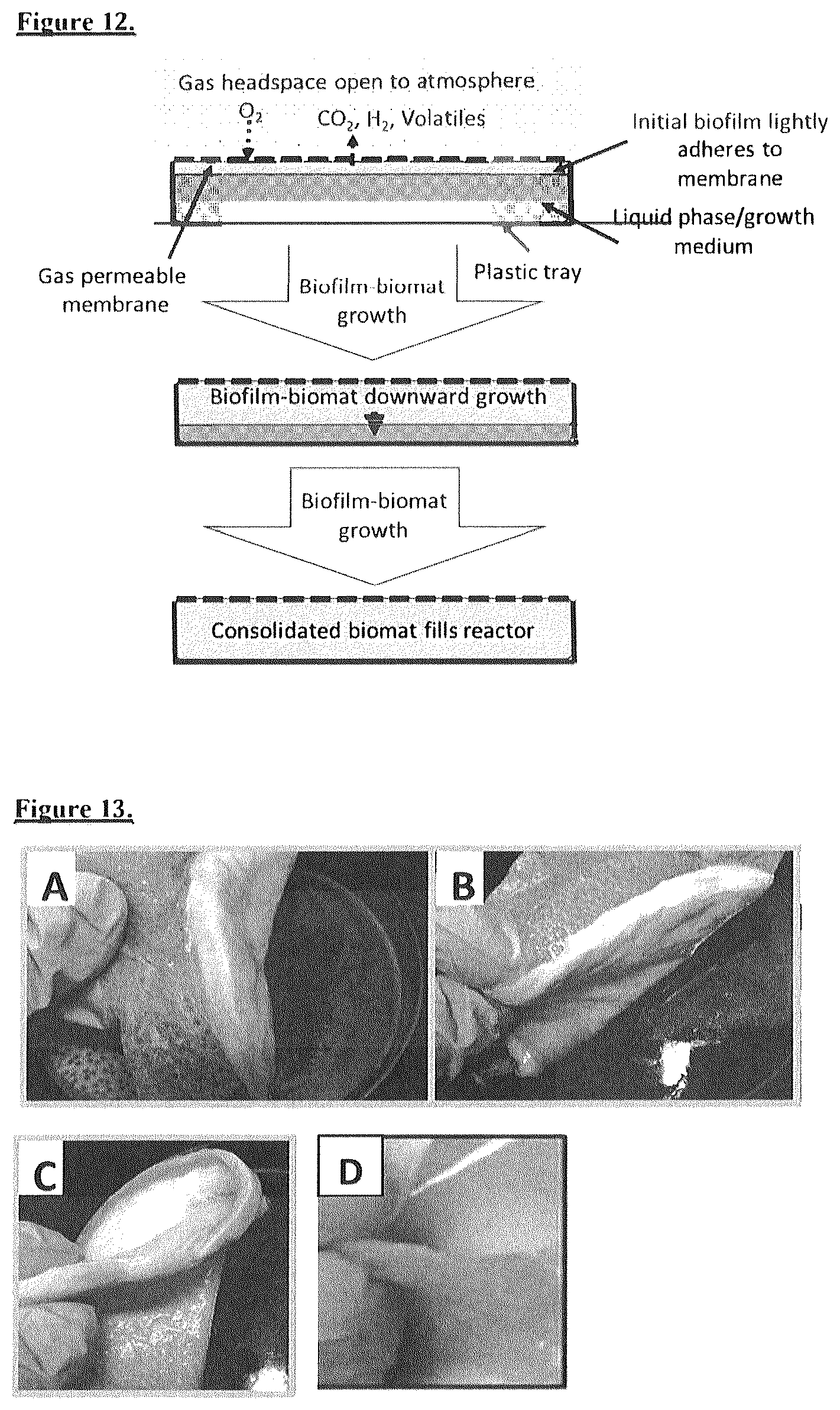 Patent US12612593 Figure 7 – Food materials comprising filamentous fungal particles and membrane bioreactor design