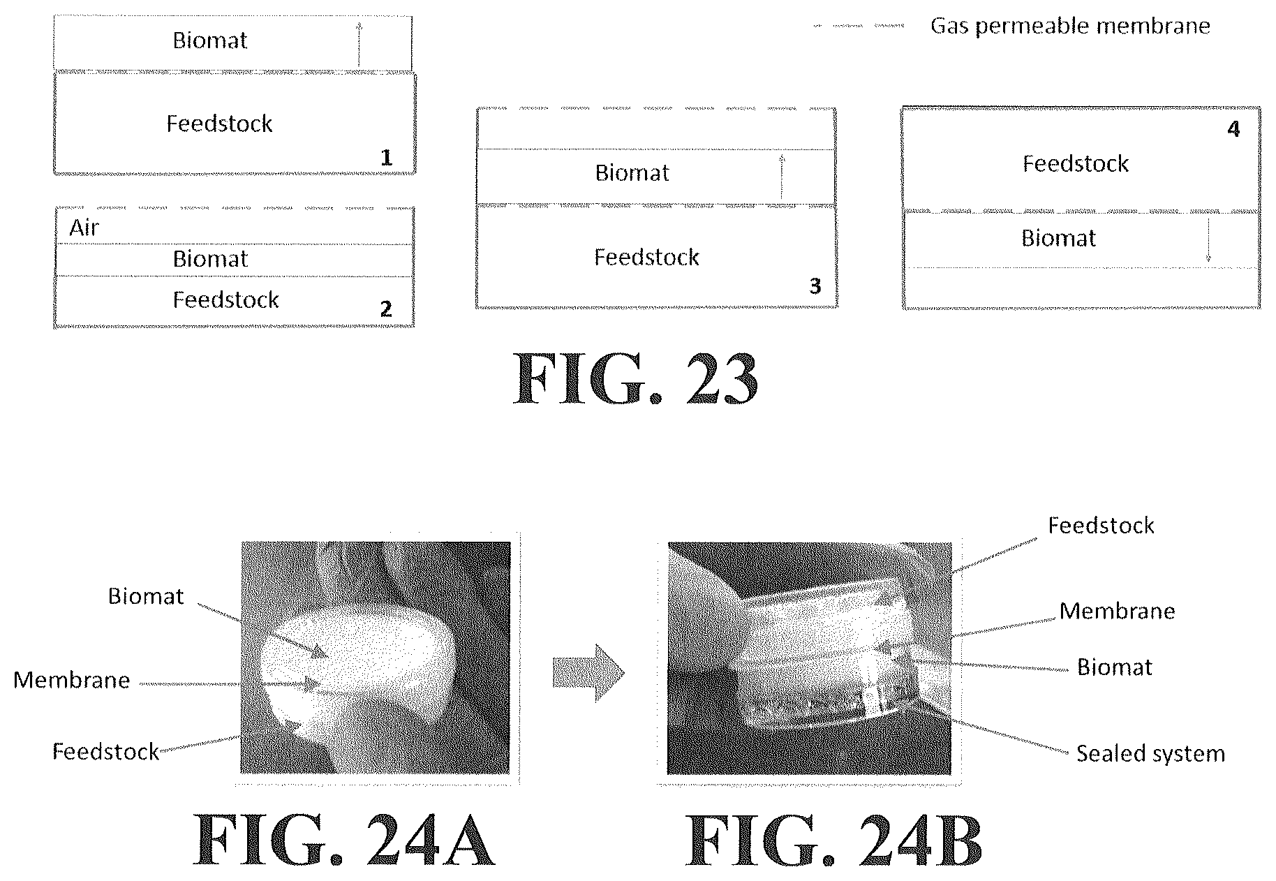 Patent US12612593 Figure 16 – Food materials comprising filamentous fungal particles and membrane bioreactor design