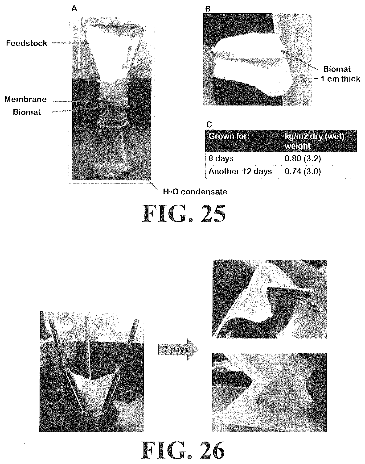 Patent US12612593 Figure 17 – Food materials comprising filamentous fungal particles and membrane bioreactor design