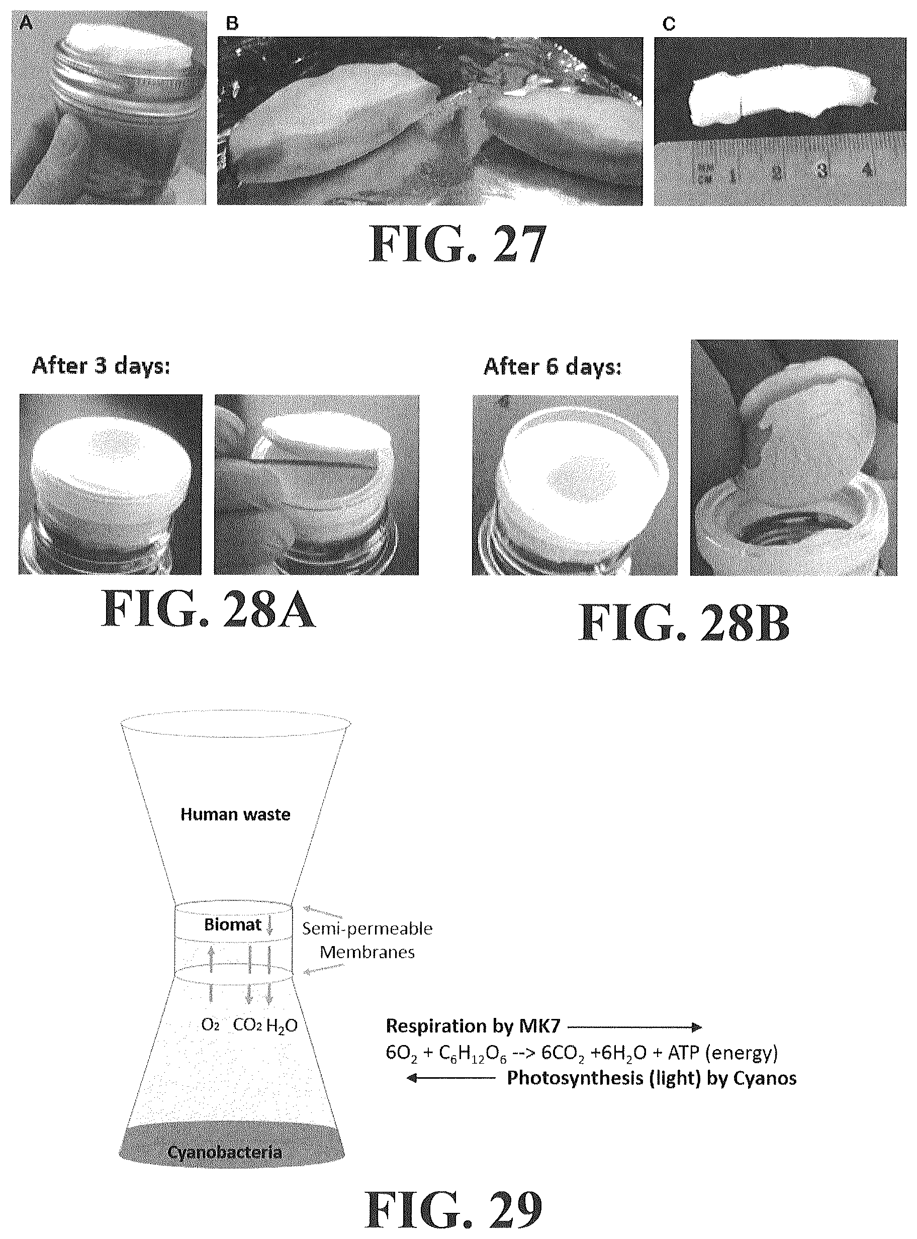 Patent US12612593 Figure 18 – Food materials comprising filamentous fungal particles and membrane bioreactor design