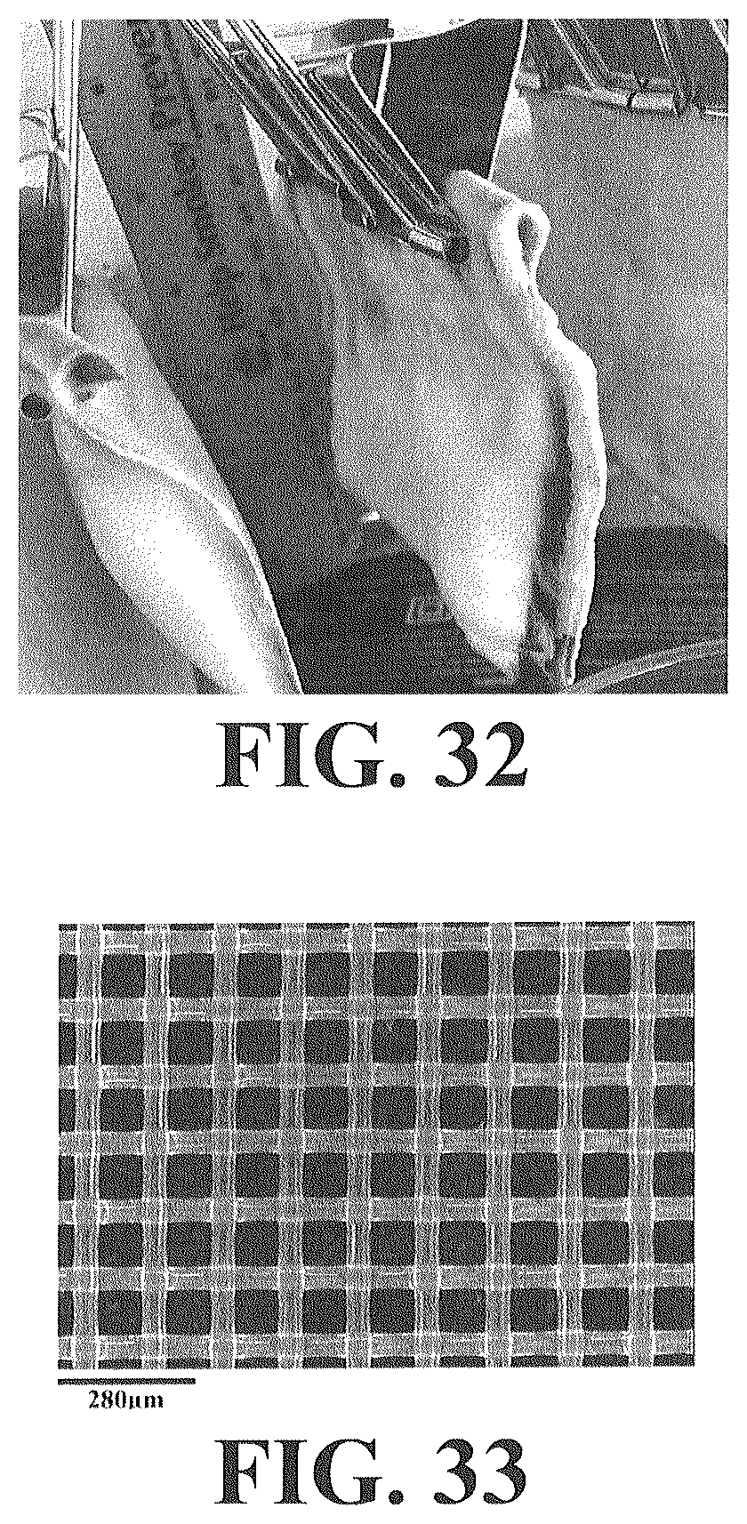 Patent US12612593 Figure 20 – Food materials comprising filamentous fungal particles and membrane bioreactor design