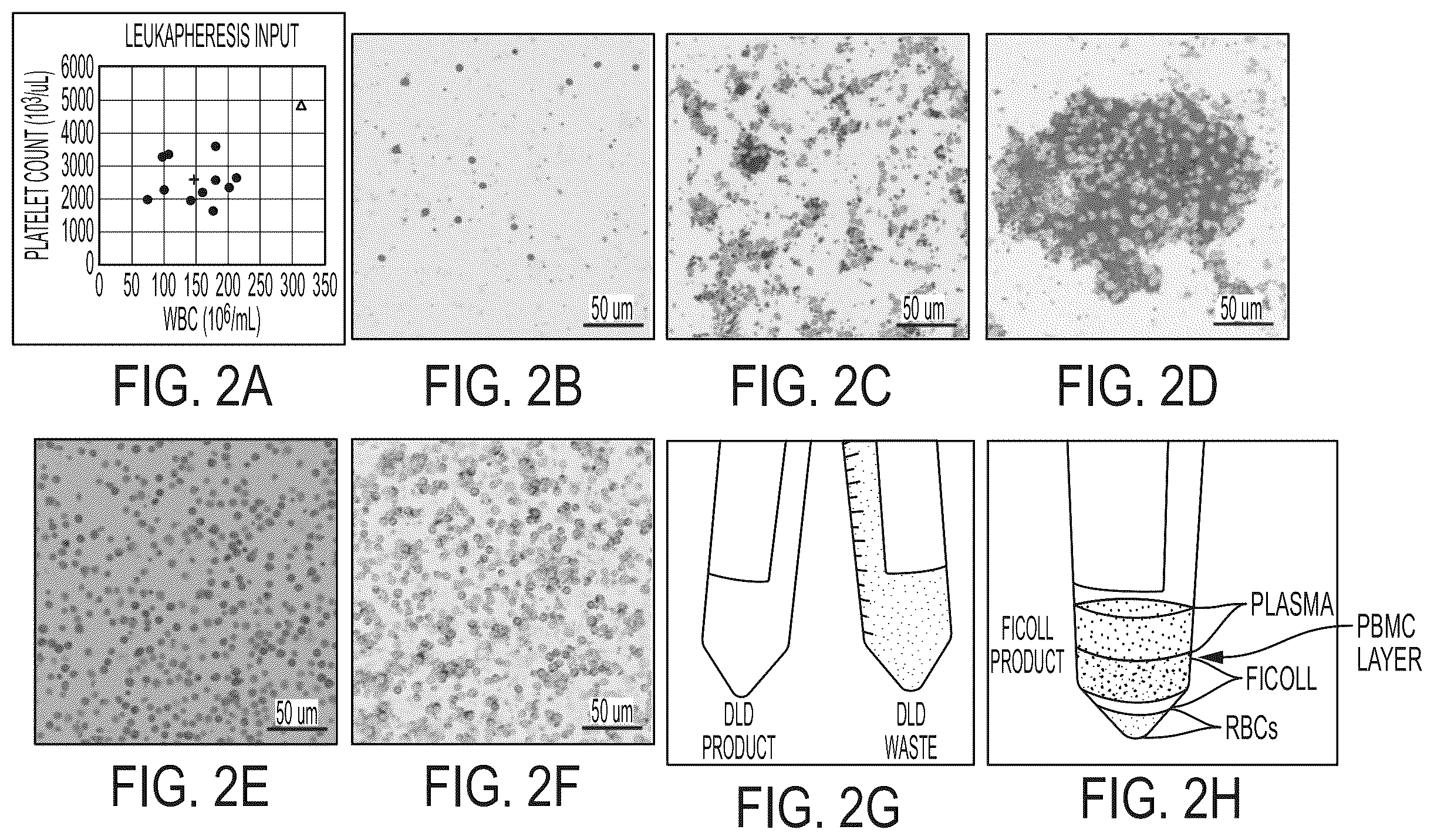 Patent US12612597 Figure 2 – Methods for preparing therapeutically active cells using microfluidics