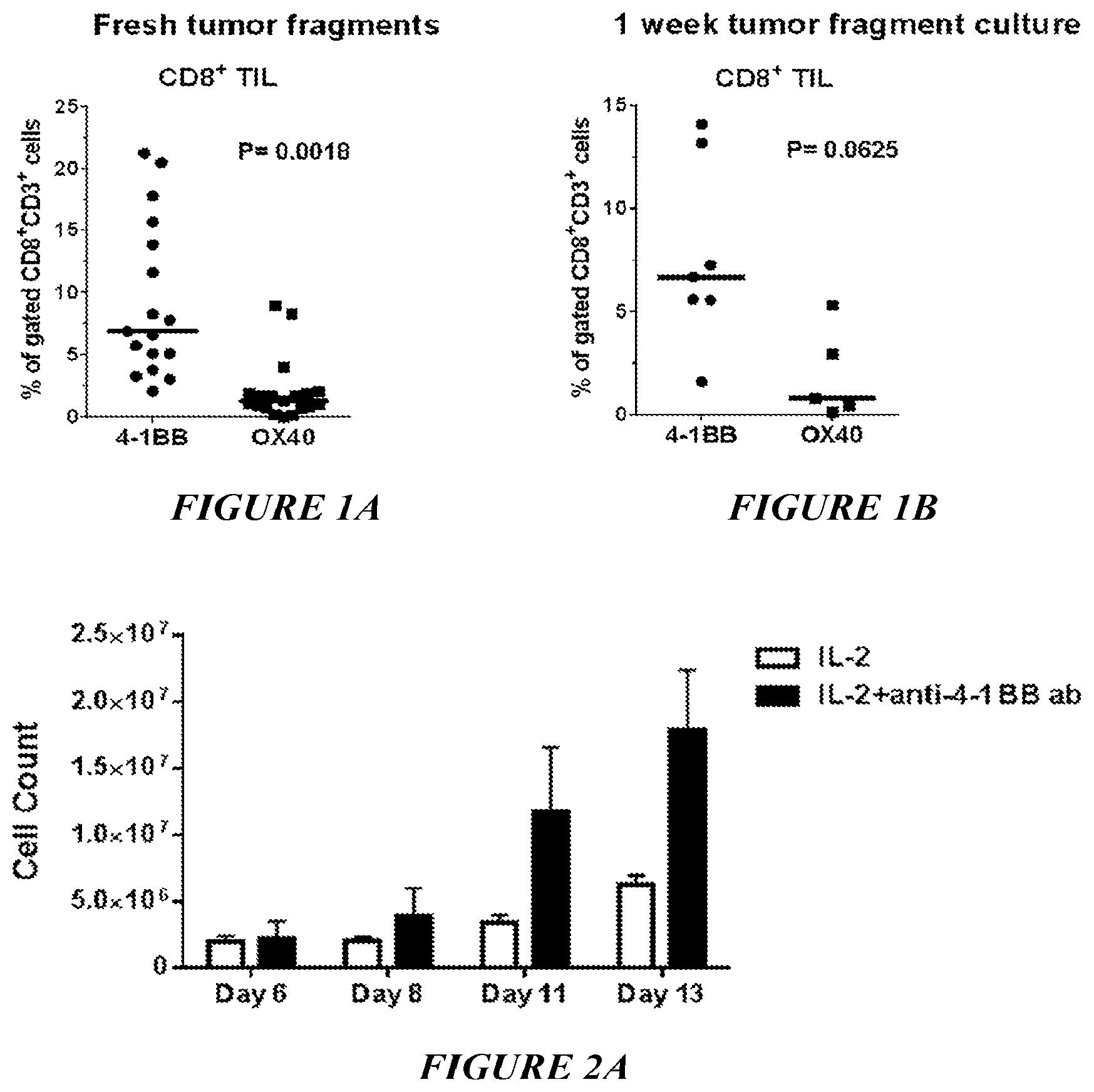 Patent US12612598 — Enhanced expansion of tumor-infiltrating lymphocytes for adoptive cell therapy — Figure 1