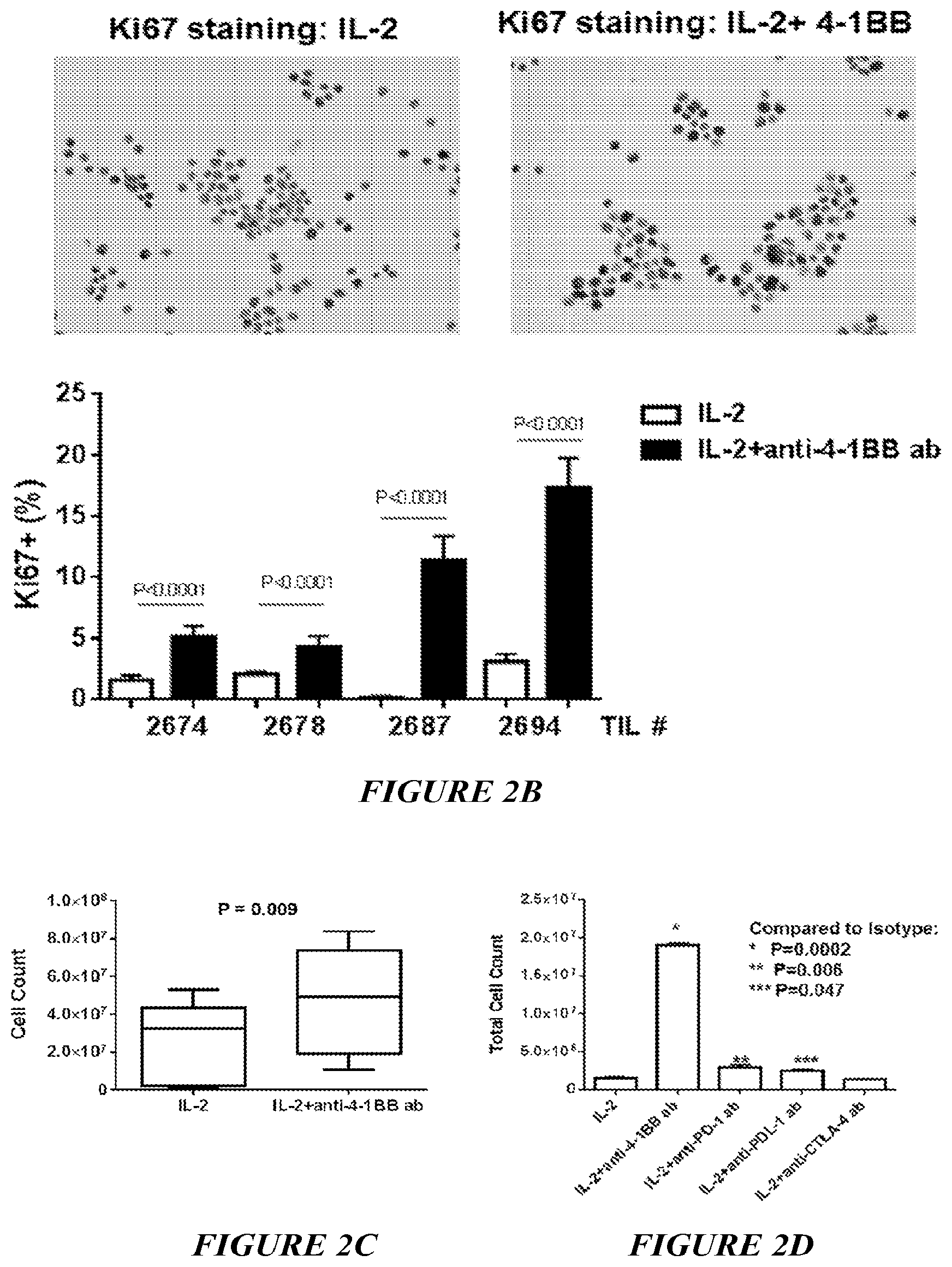 Patent US12612598 Figure 2 – Enhanced expansion of tumor-infiltrating lymphocytes for adoptive cell therapy