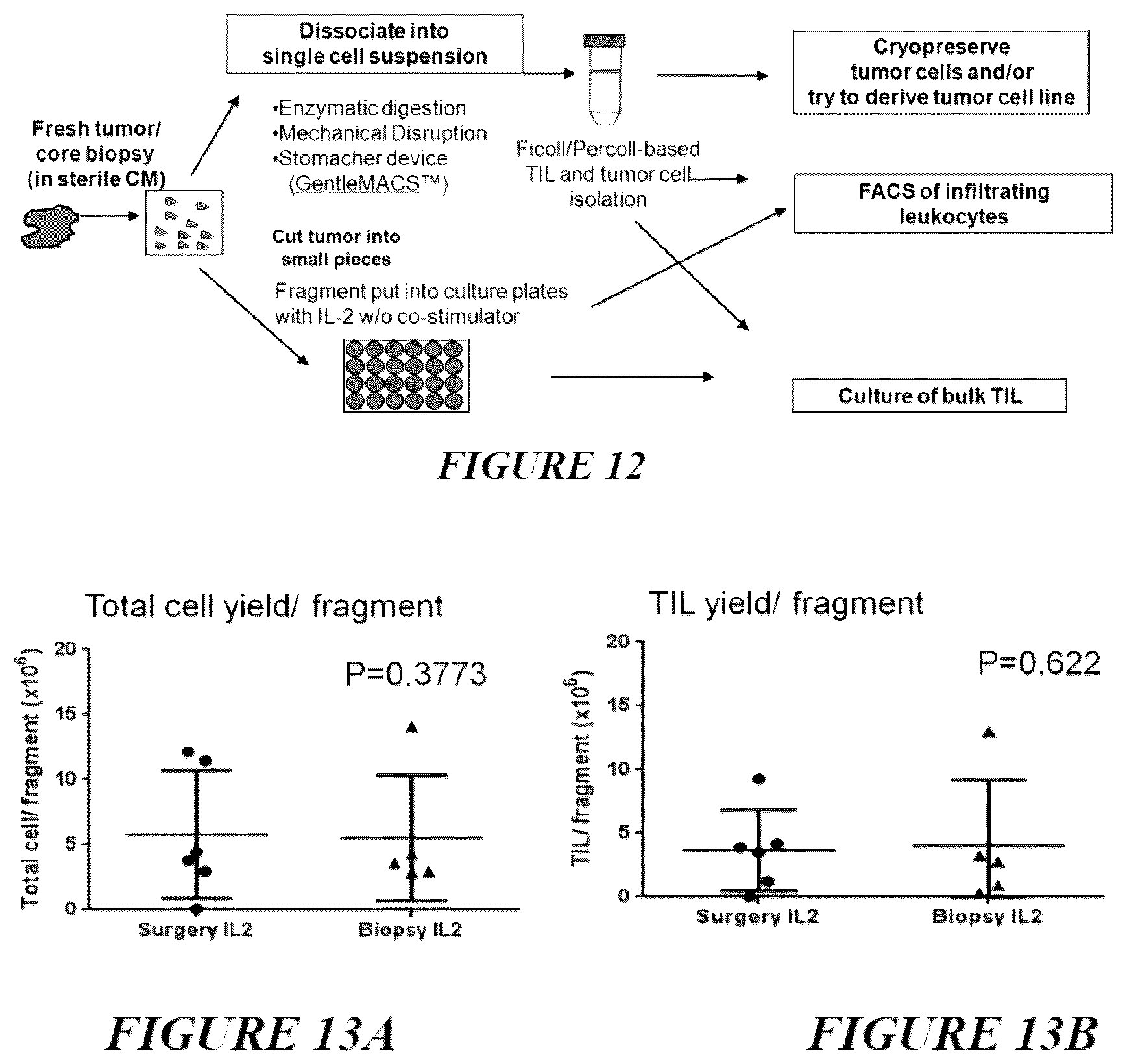 Patent US12612598 Figure 13 – Enhanced expansion of tumor-infiltrating lymphocytes for adoptive cell therapy