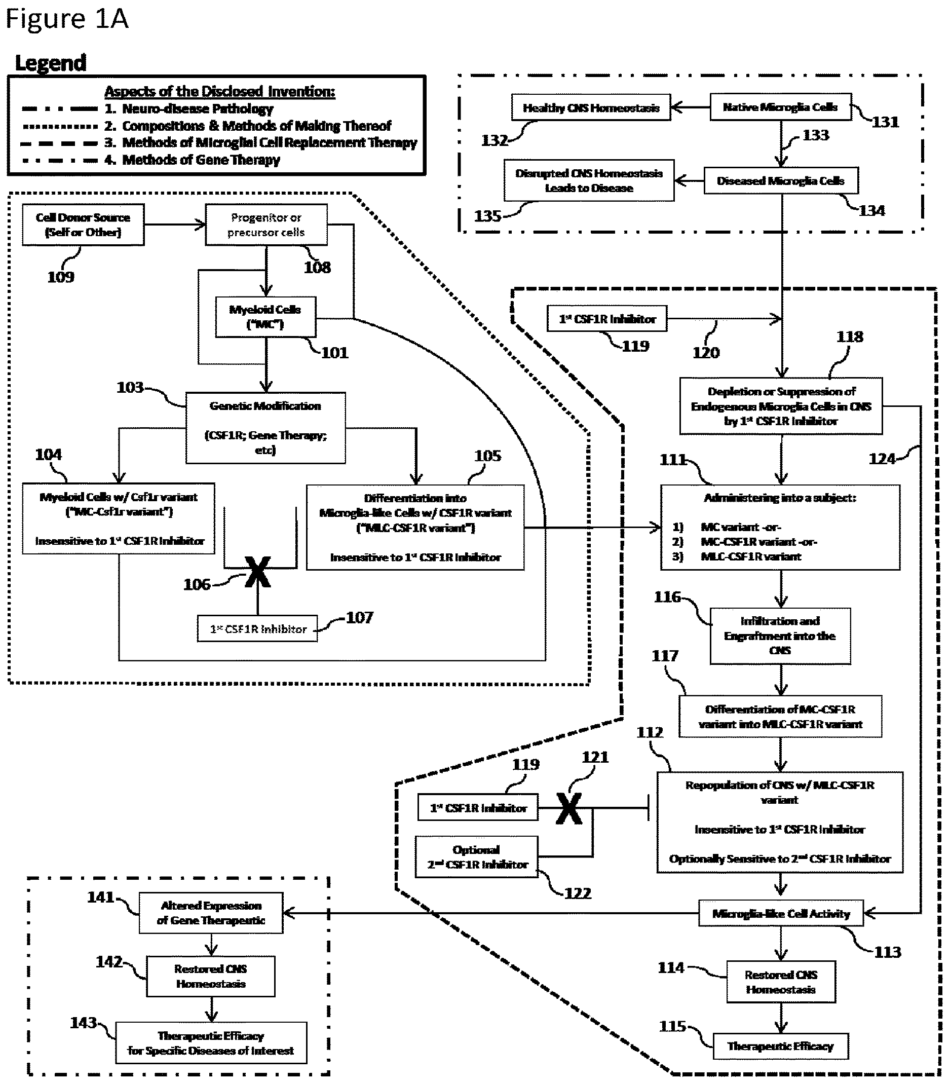 Patent US12612599 Figure 1 – Compositions and methods for microglia replacement therapy