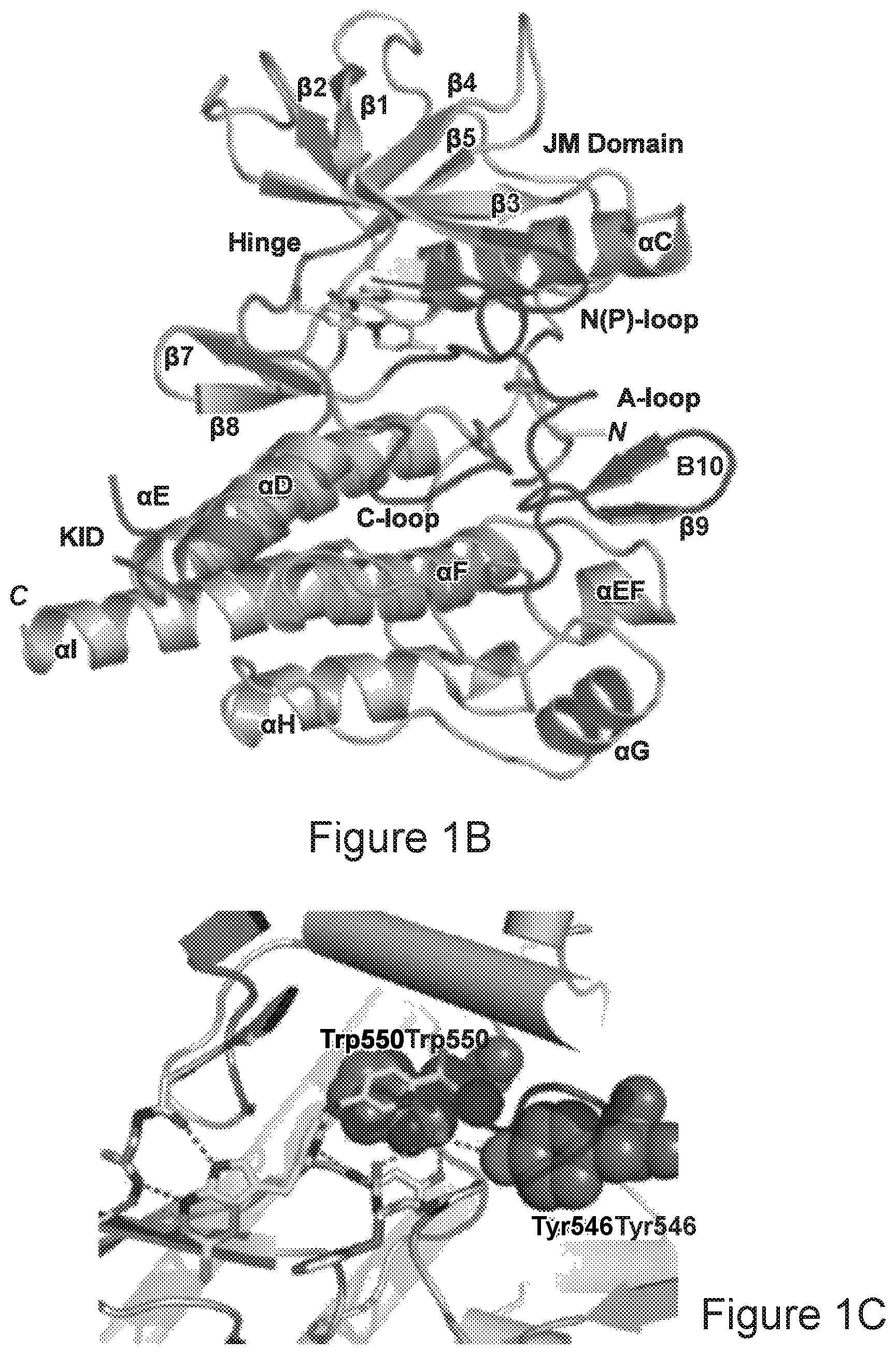 Patent US12612599 Figure 2 – Compositions and methods for microglia replacement therapy