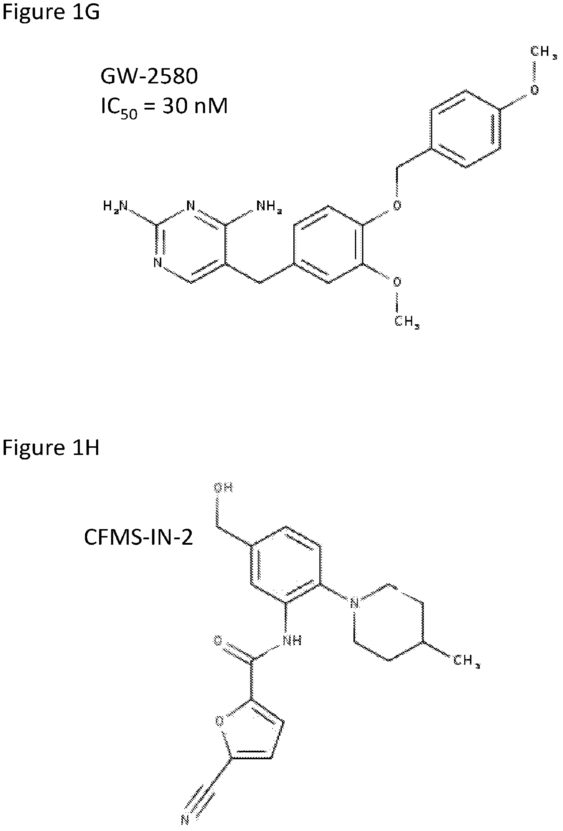 Patent US12612599 Figure 4 – Compositions and methods for microglia replacement therapy