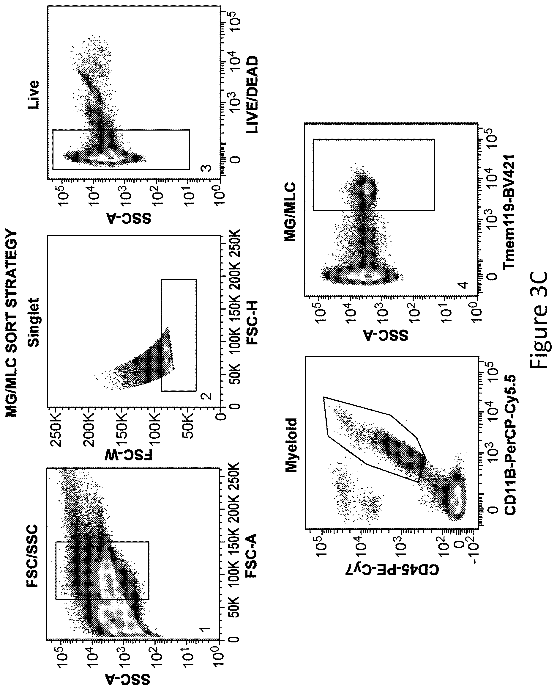 Patent US12612599 Figure 8 – Compositions and methods for microglia replacement therapy