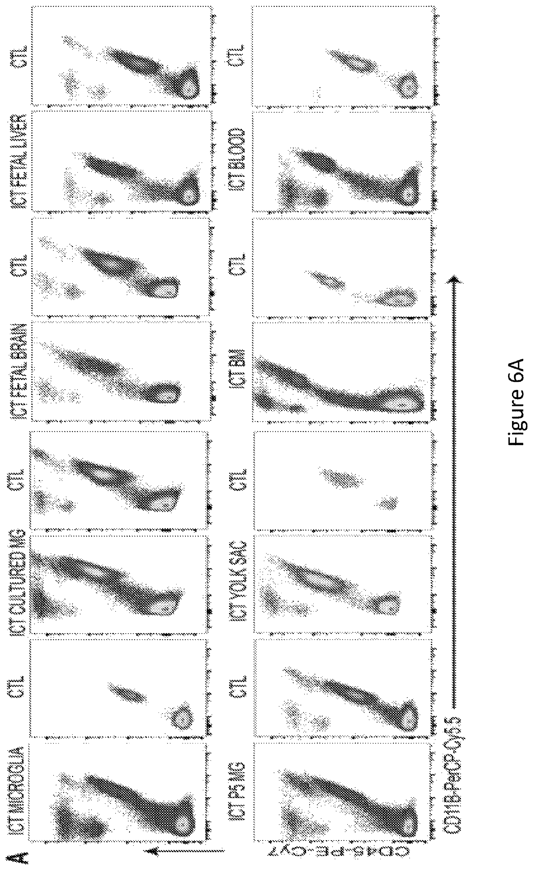 Patent US12612599 Figure 14 – Compositions and methods for microglia replacement therapy