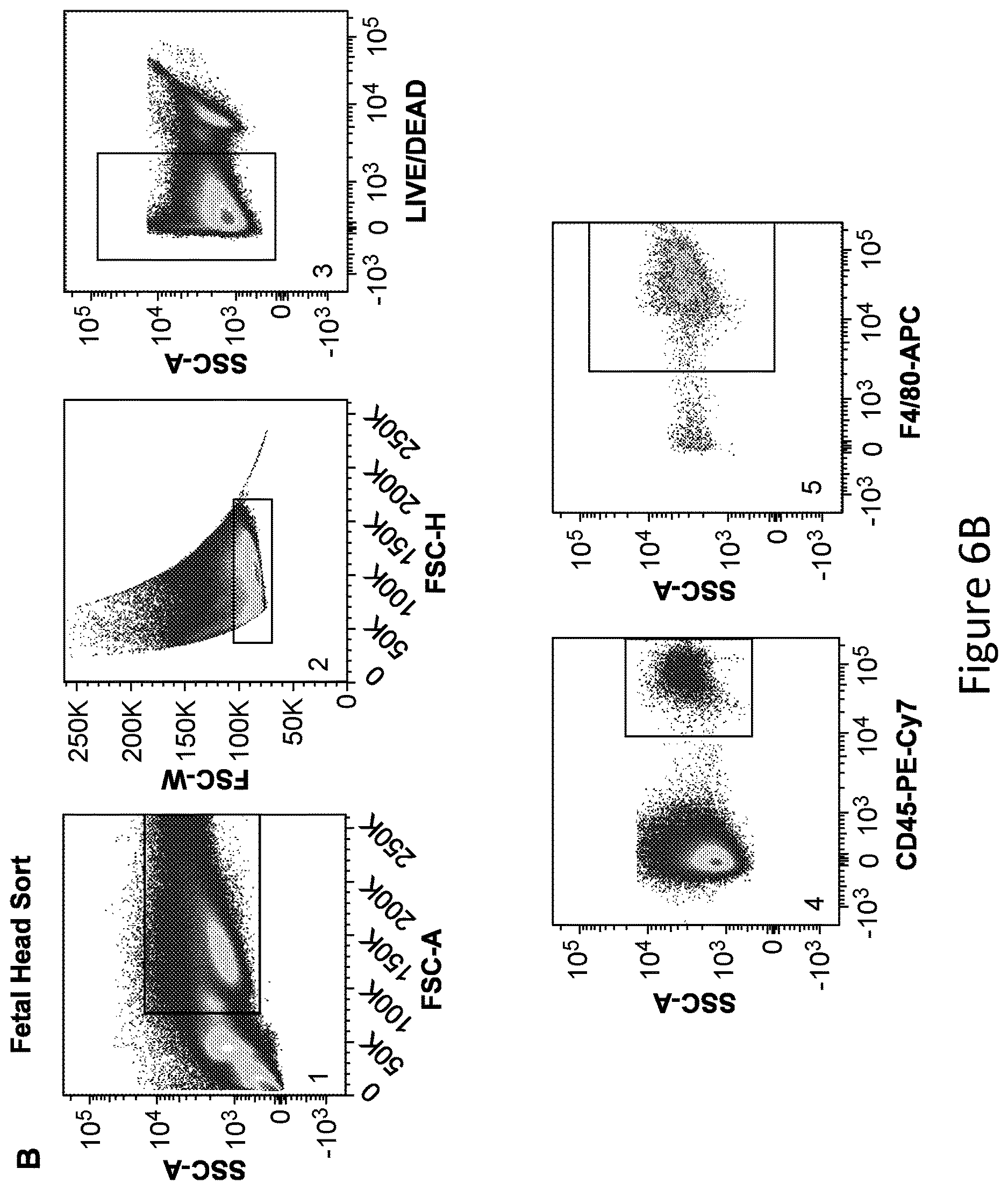 Patent US12612599 Figure 15 – Compositions and methods for microglia replacement therapy