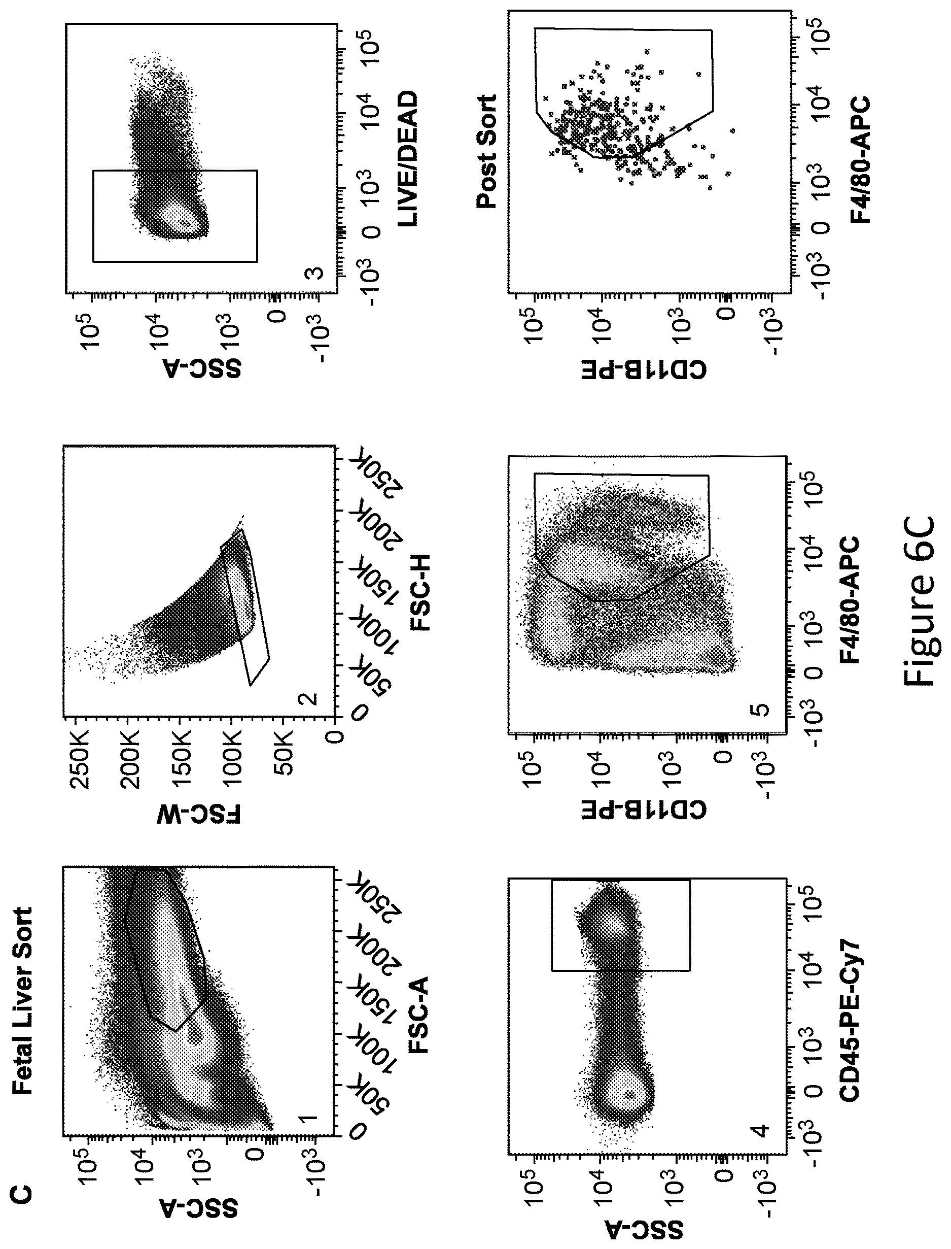 Patent US12612599 Figure 16 – Compositions and methods for microglia replacement therapy