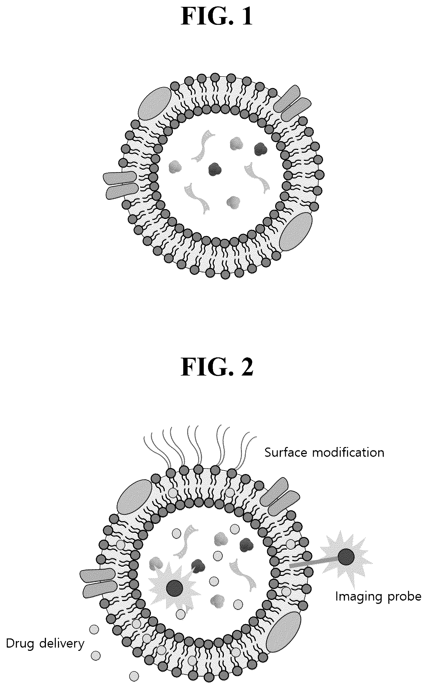 Patent US12612601 Figure 1 – Use of cross-flow filtration device for preparing functional exosome