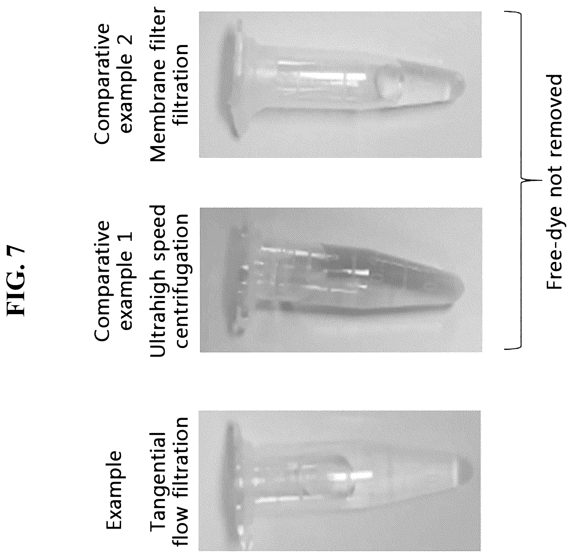 Patent US12612601 Figure 6 – Use of cross-flow filtration device for preparing functional exosome