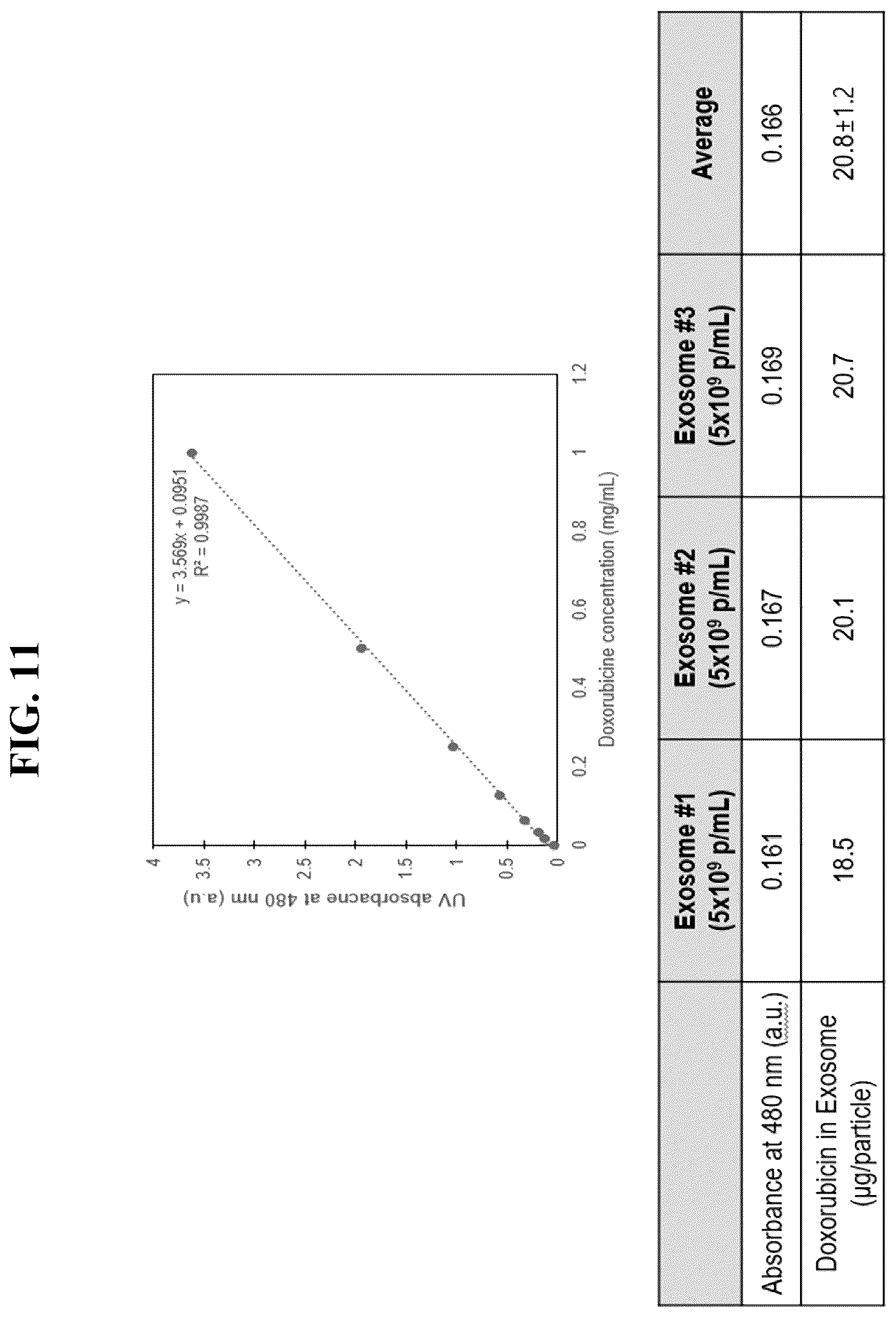 Patent US12612601 Figure 10 – Use of cross-flow filtration device for preparing functional exosome