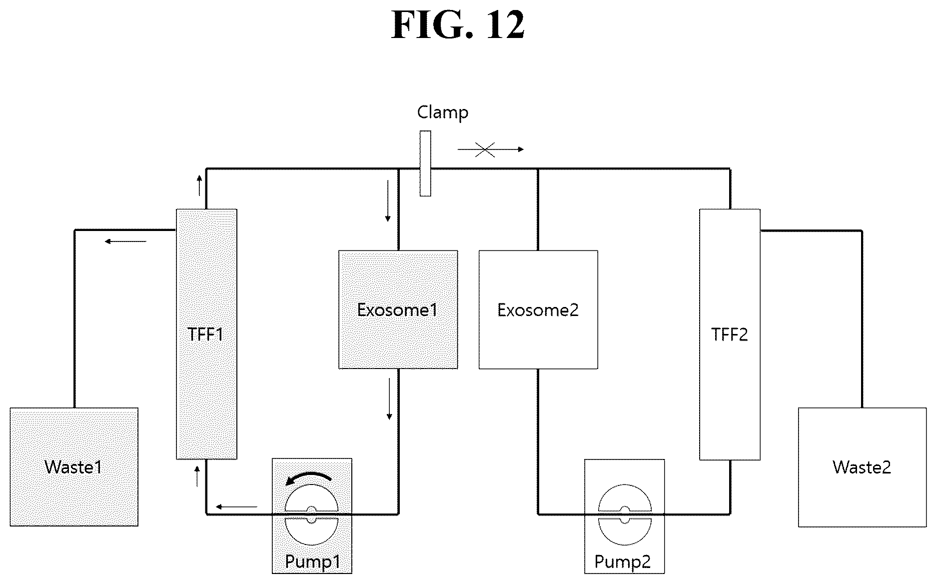 Patent US12612601 Figure 11 – Use of cross-flow filtration device for preparing functional exosome