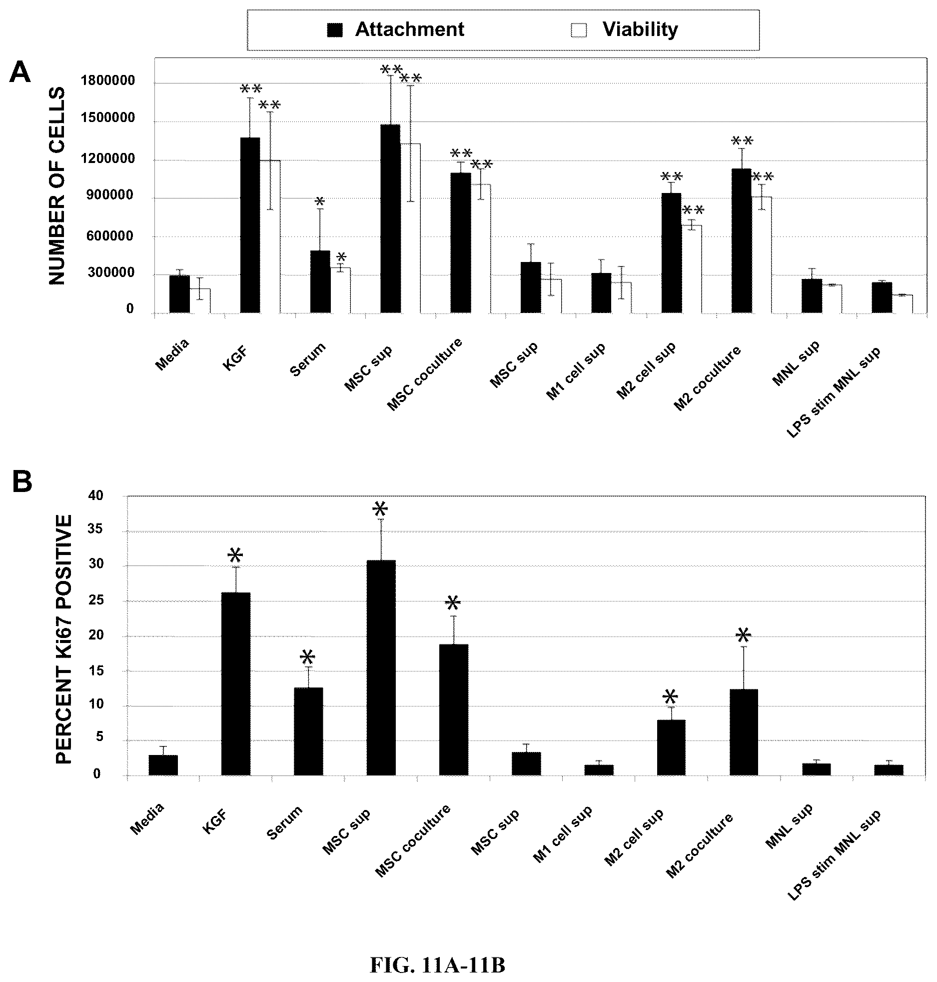 Patent US12612602 Figure 11 – Production of a bioengineered lung
