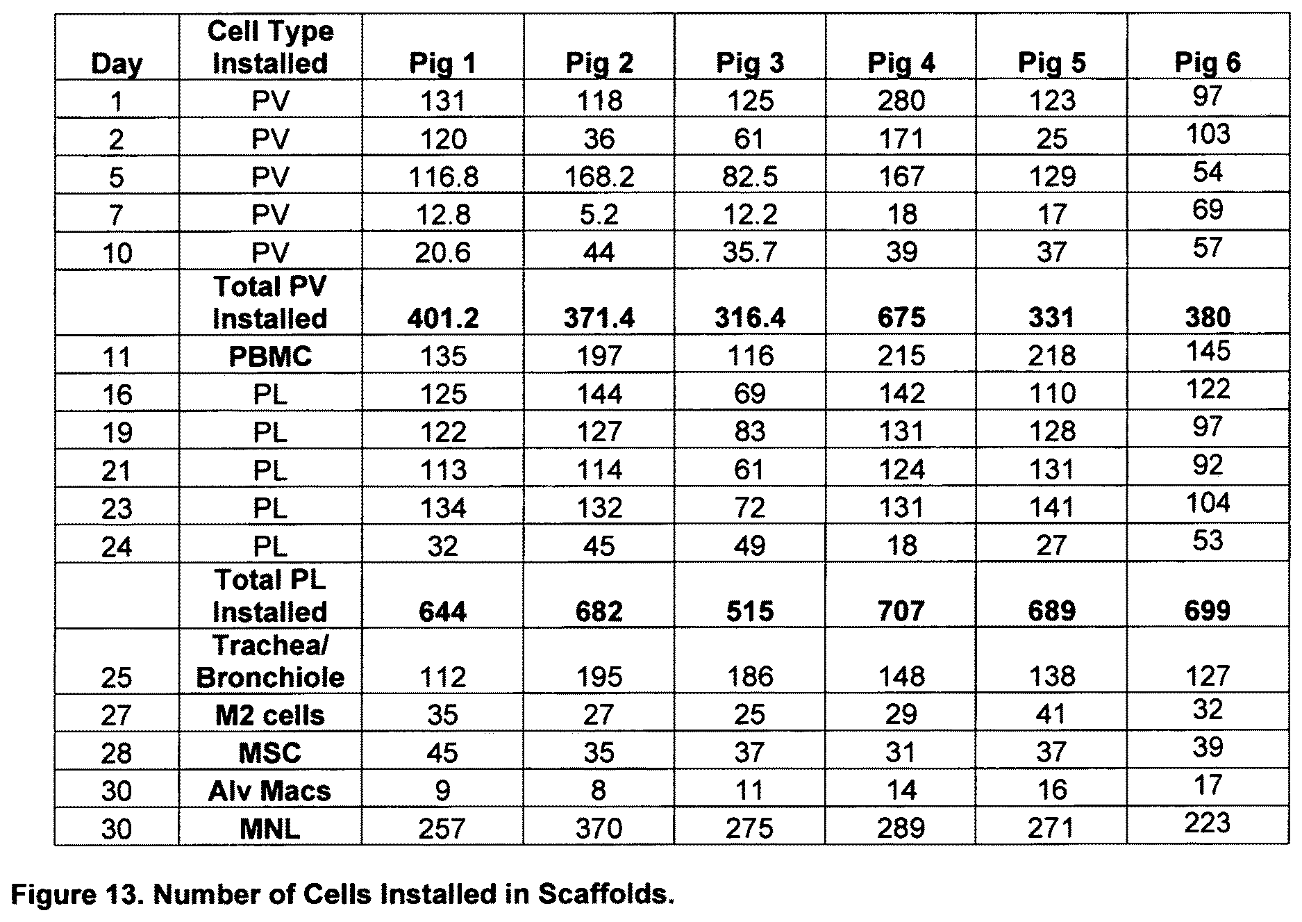 Patent US12612602 Figure 13 – Production of a bioengineered lung