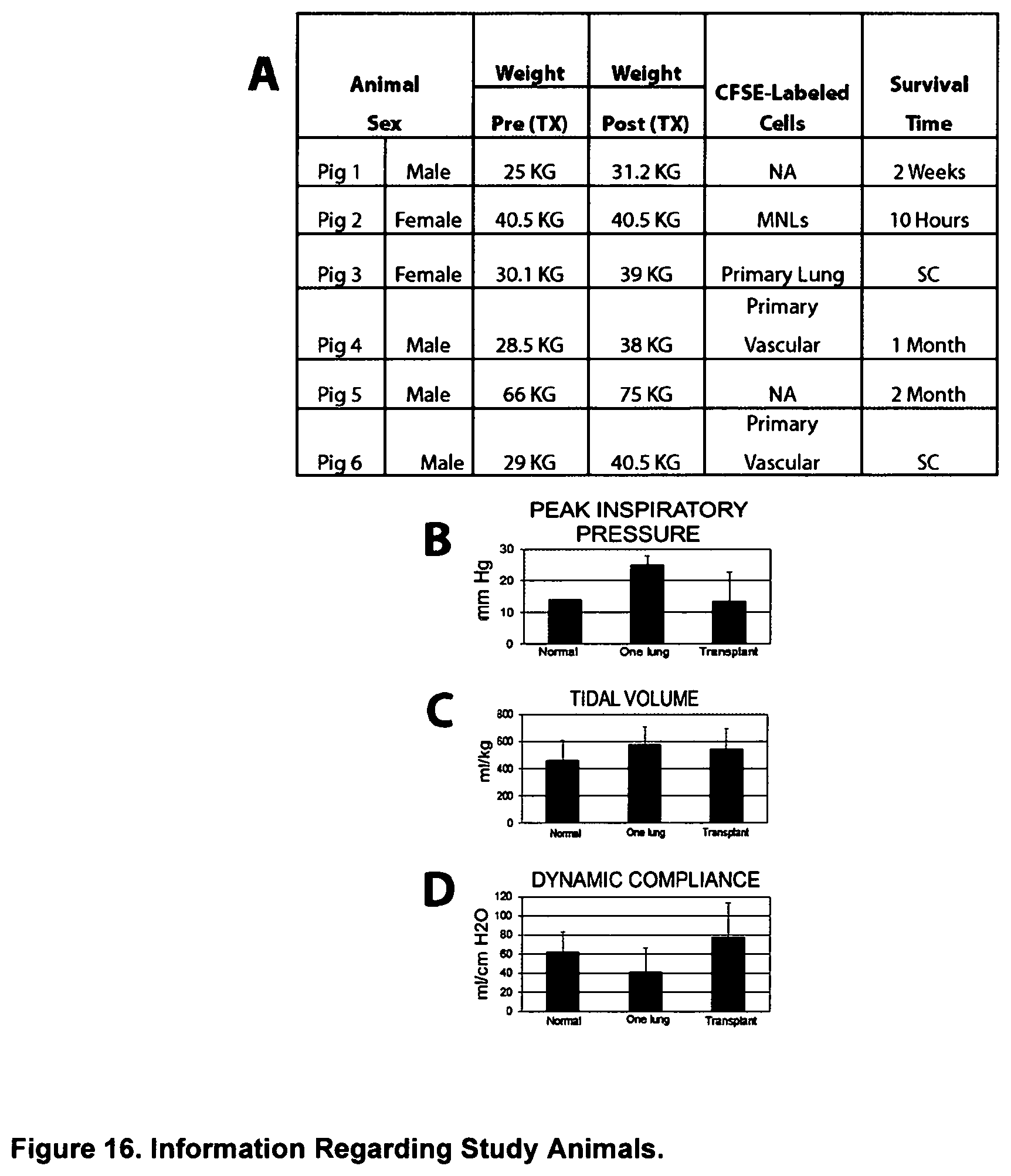 Patent US12612602 Figure 16 – Production of a bioengineered lung
