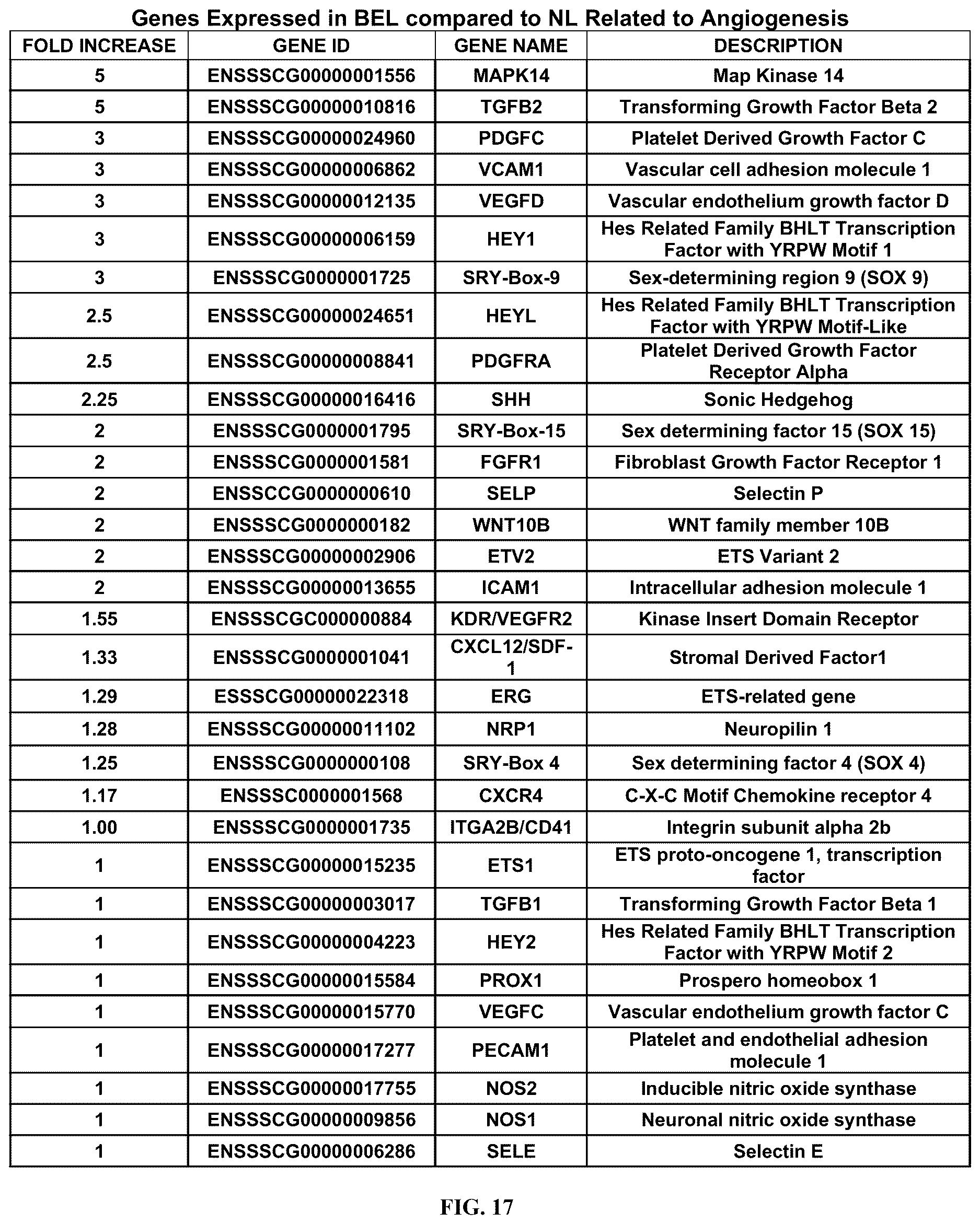 Patent US12612602 Figure 17 – Production of a bioengineered lung
