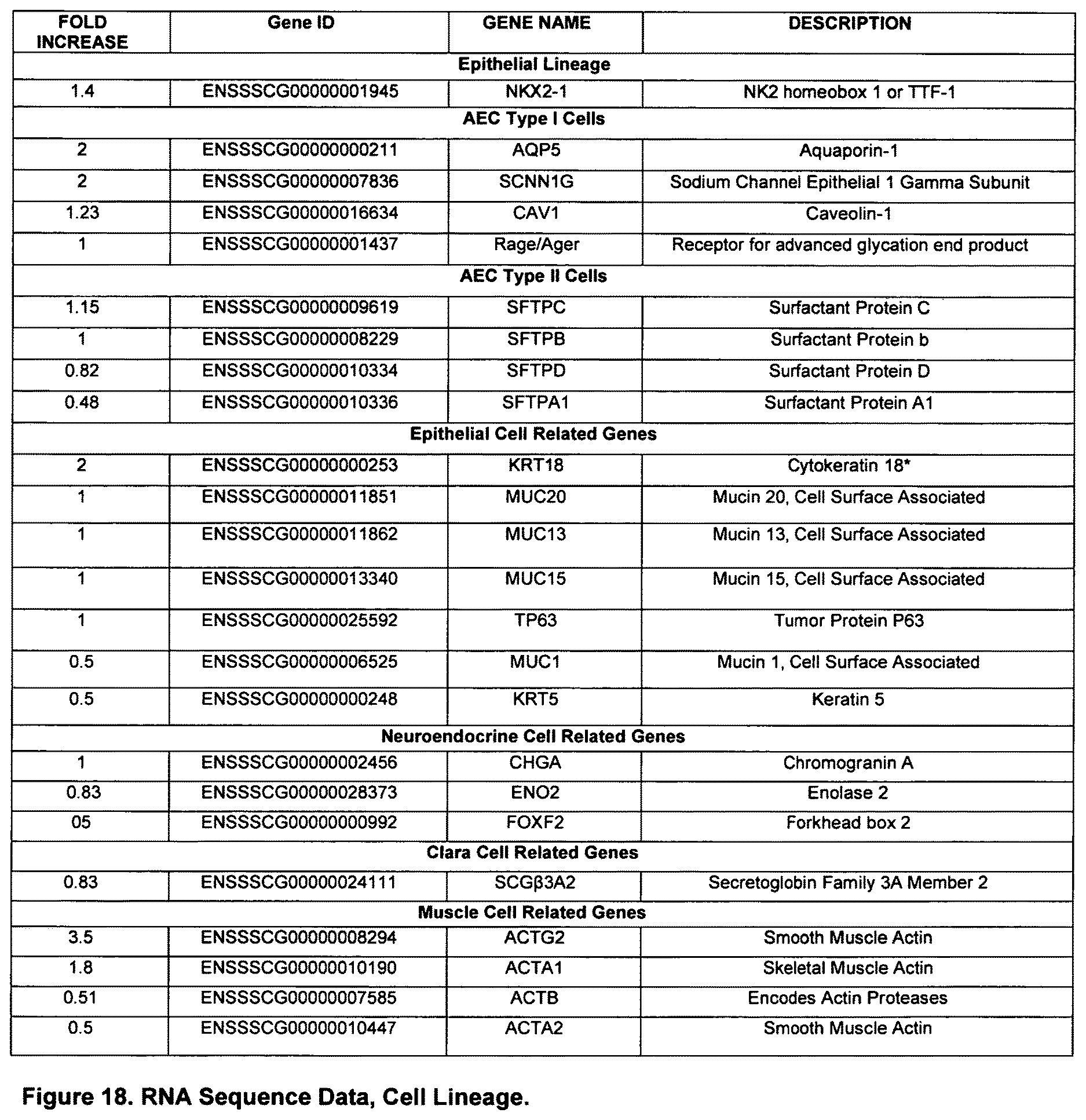 Patent US12612602 Figure 18 – Production of a bioengineered lung