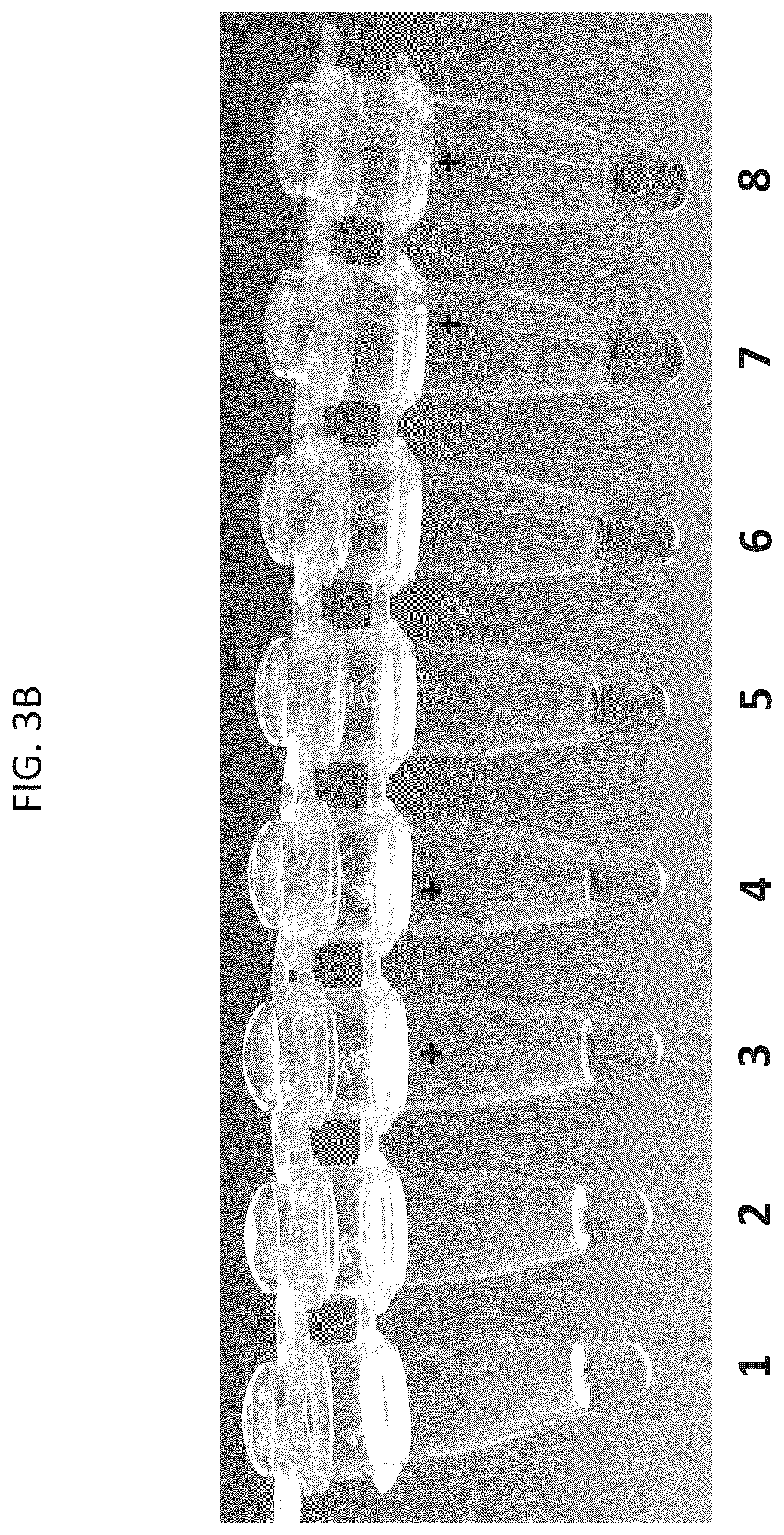 Patent US12612604 Figure 6 – High throughput reaction assembly