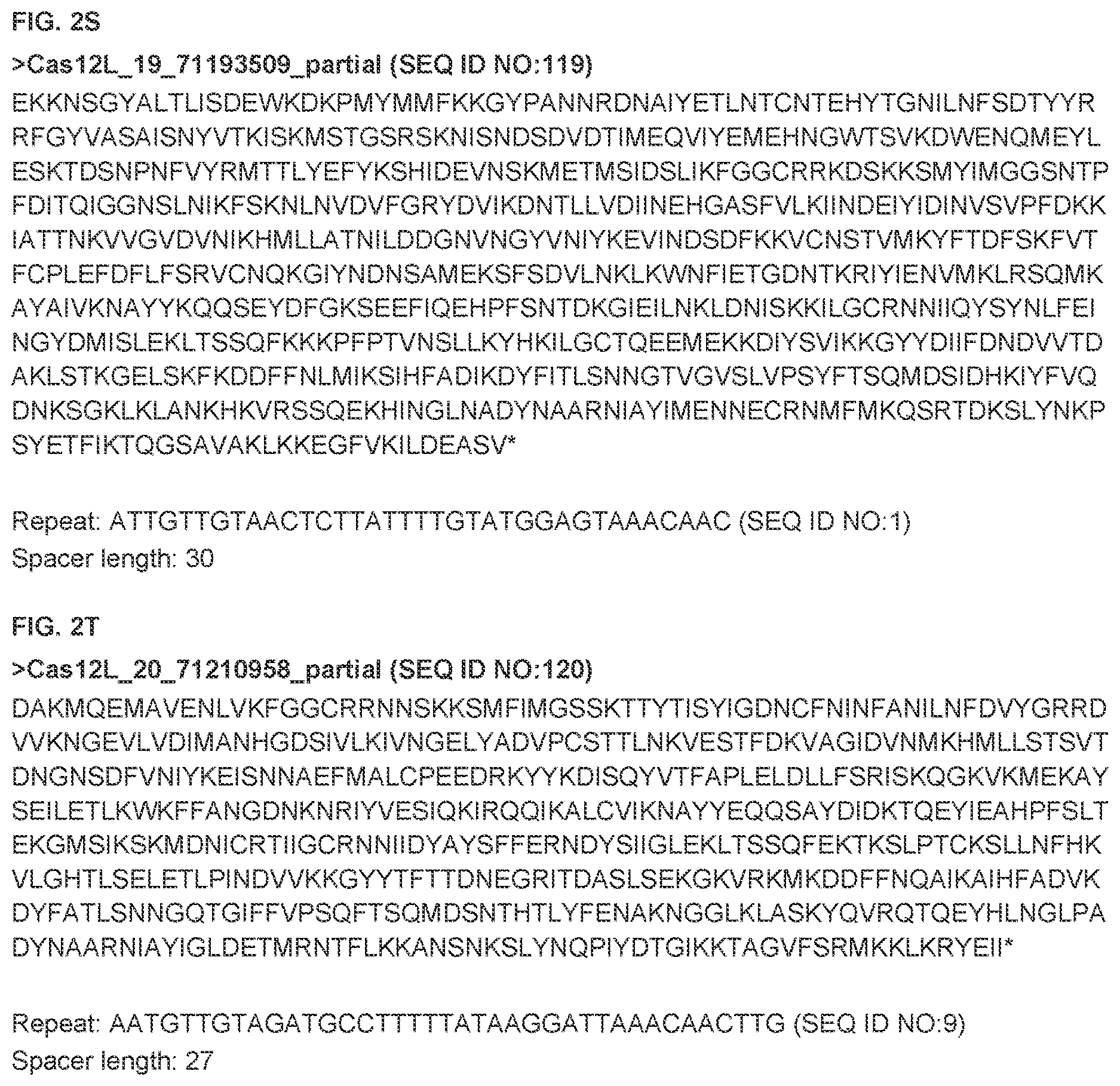 Patent US12612607 Figure 11 – CRISPR-Cas effector polypeptides and methods of use thereof