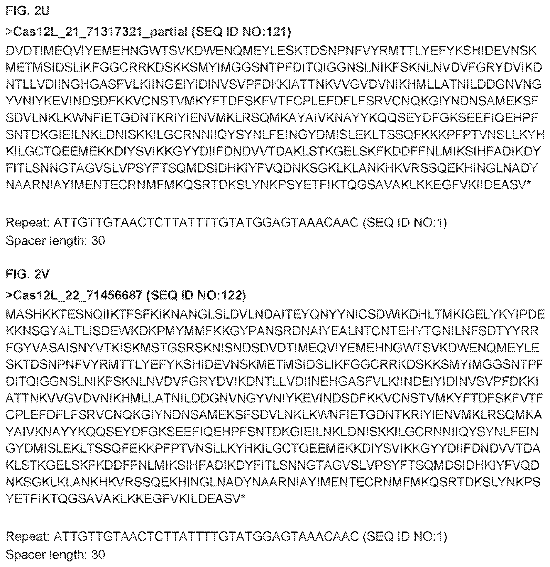 Patent US12612607 Figure 12 – CRISPR-Cas effector polypeptides and methods of use thereof