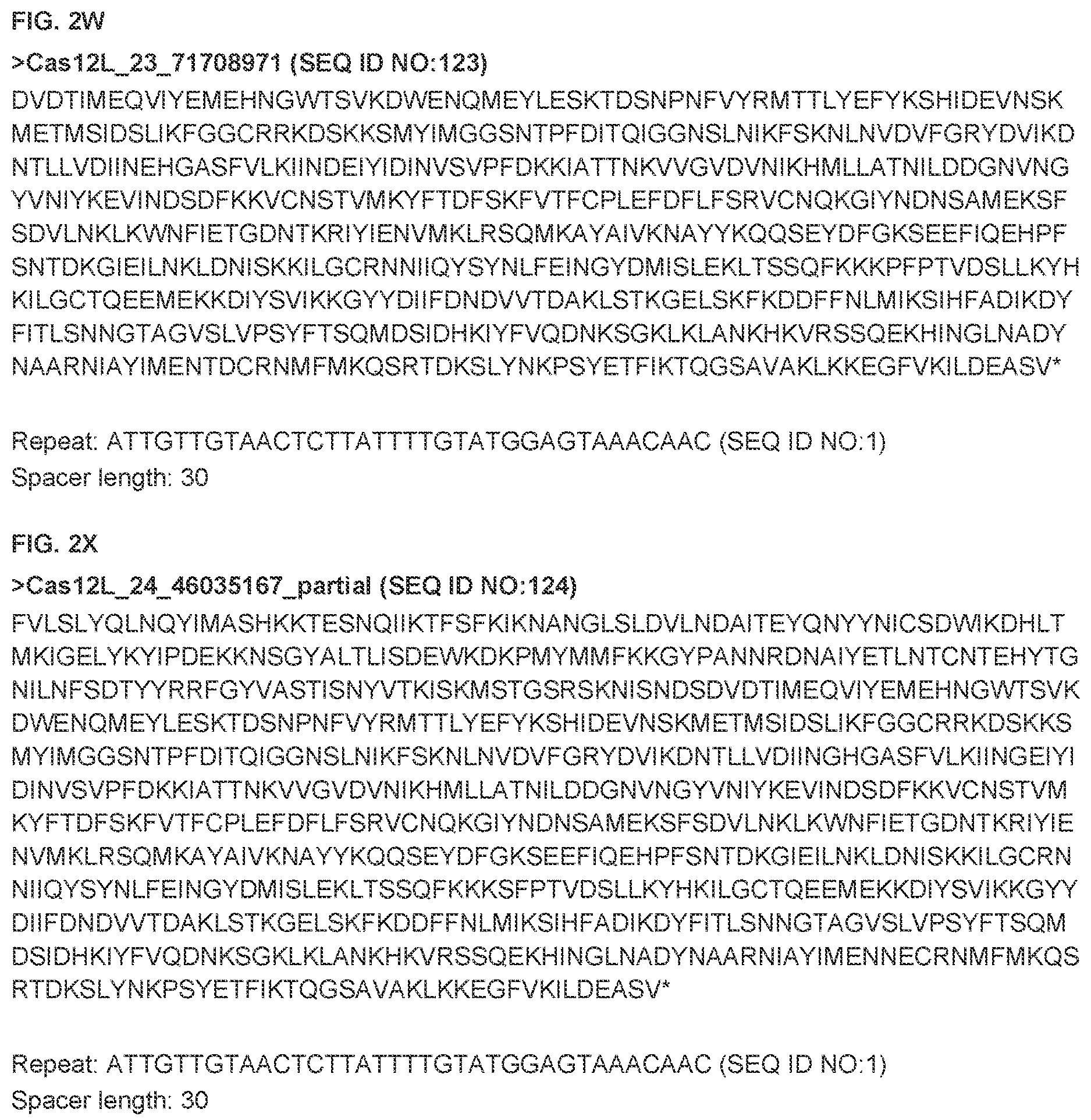 Patent US12612607 Figure 13 – CRISPR-Cas effector polypeptides and methods of use thereof