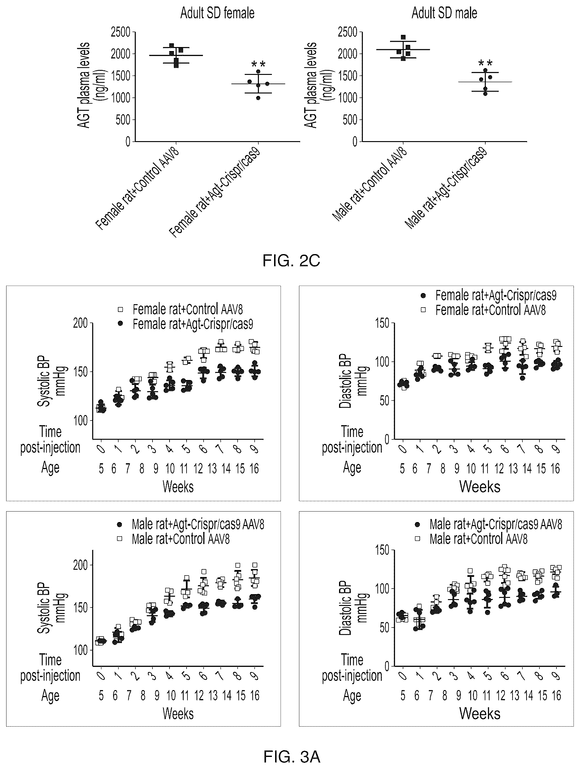 Patent US12612610 Figure 3 – Compositions and methods for controlling blood pressure