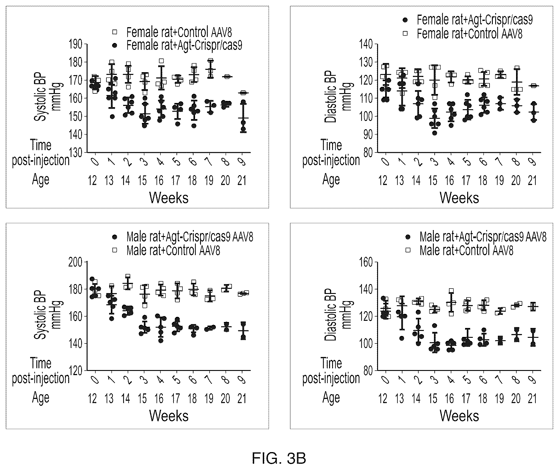 Patent US12612610 Figure 4 – Compositions and methods for controlling blood pressure