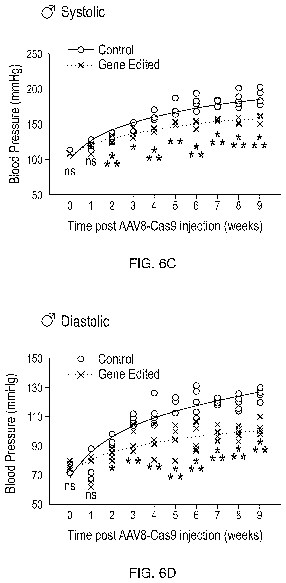 Patent US12612610 Figure 12 – Compositions and methods for controlling blood pressure
