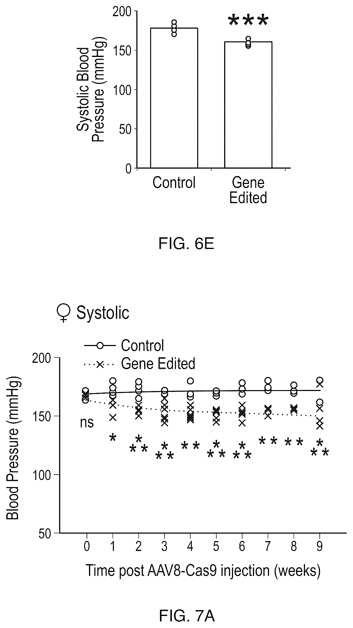 Patent US12612610 Figure 13 – Compositions and methods for controlling blood pressure