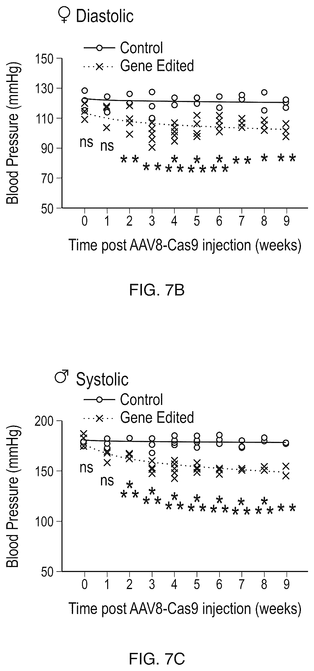 Patent US12612610 Figure 14 – Compositions and methods for controlling blood pressure