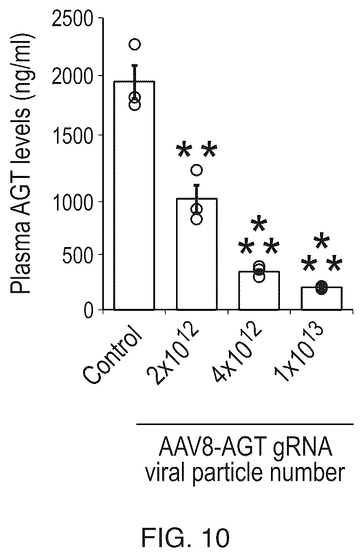Patent US12612610 Figure 19 – Compositions and methods for controlling blood pressure