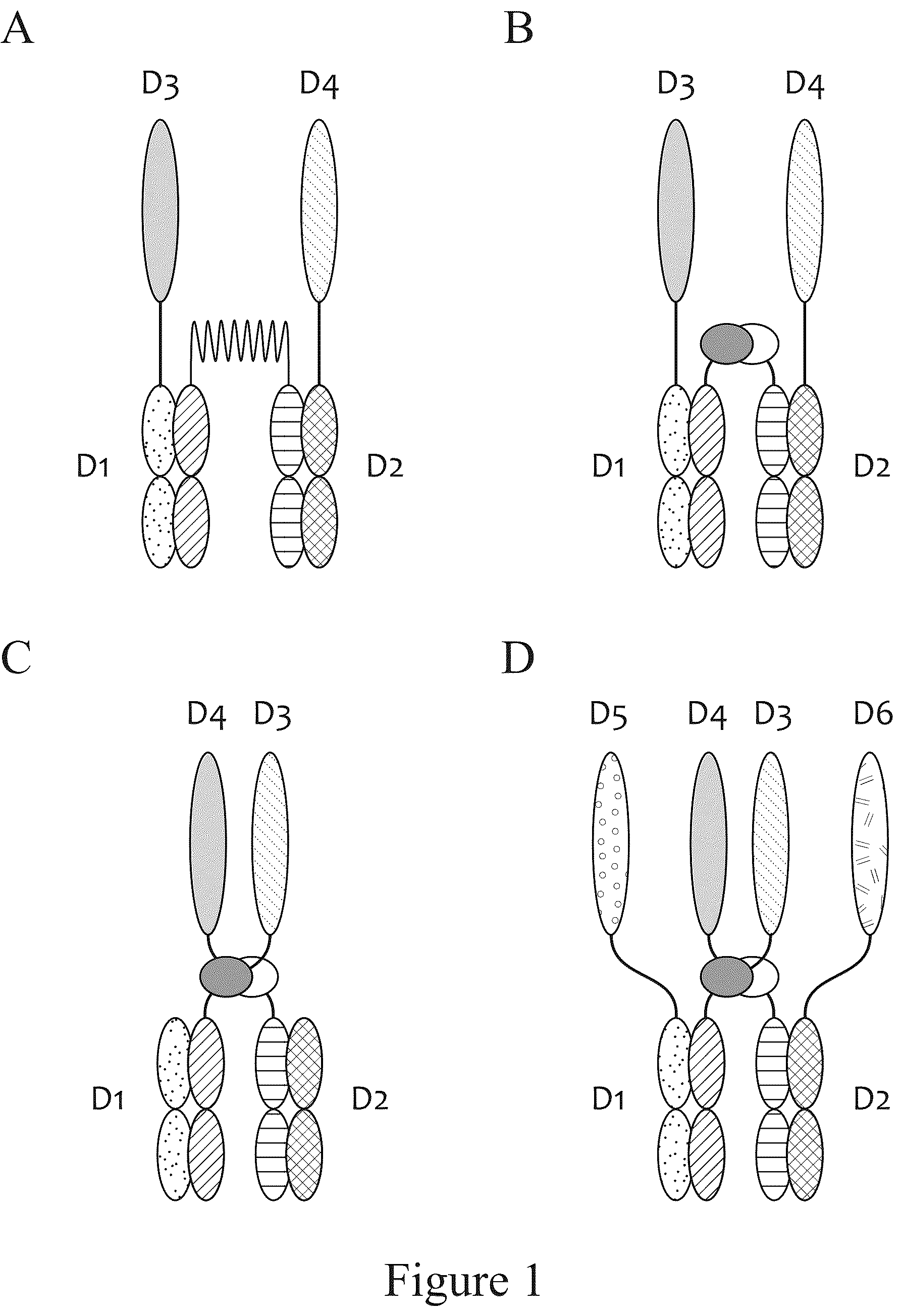 Patent US12612611 Figure 1 – Tetrahedral antibodies
